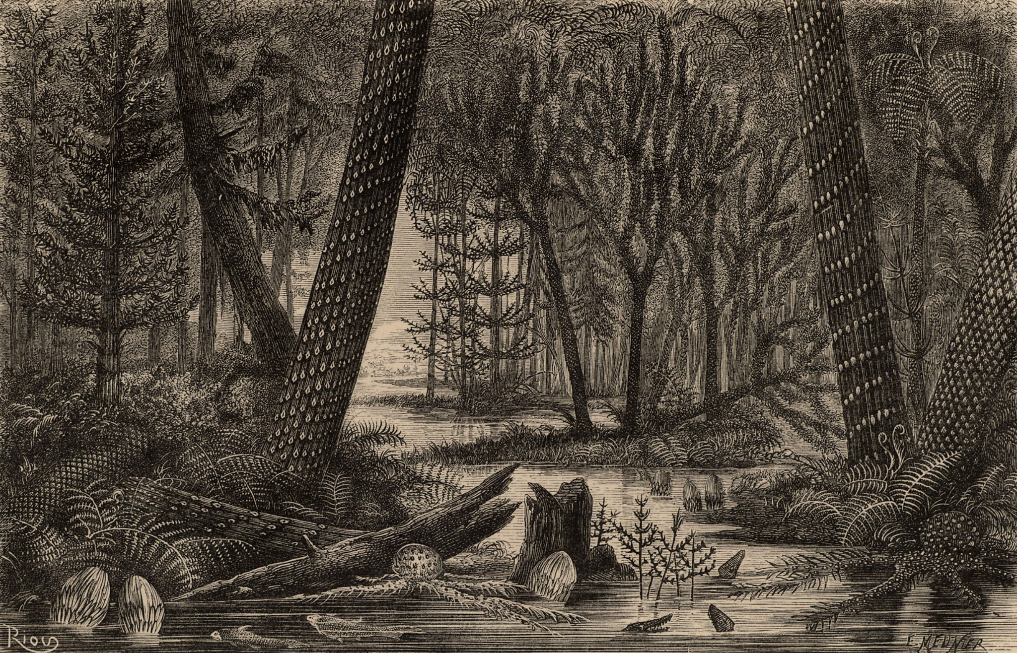 Nature Landscape Monochrome Sepia Jungle Prehistoric Trees River Plants Engraving Water 2048x1316