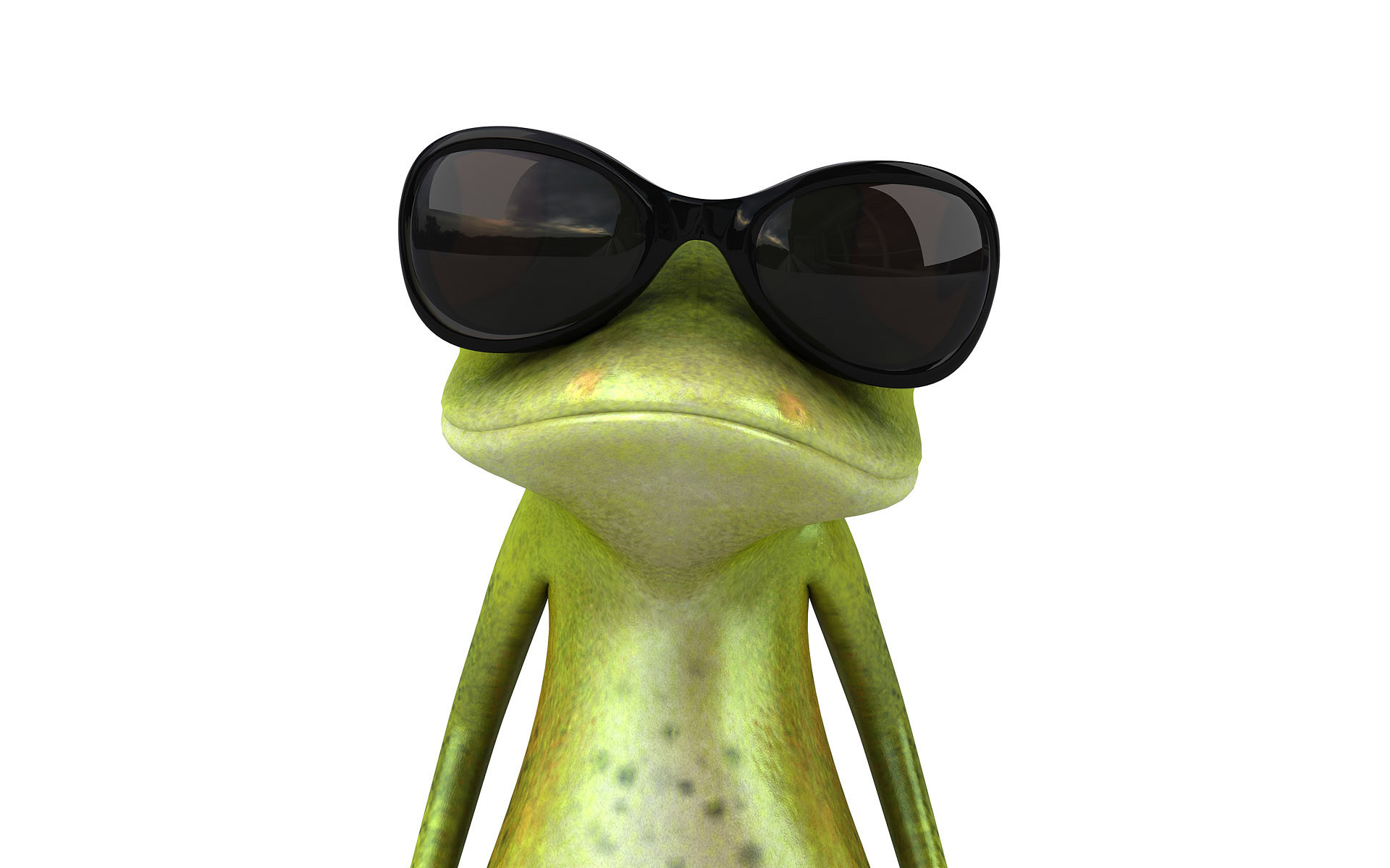 Frog 3D 1920x1200