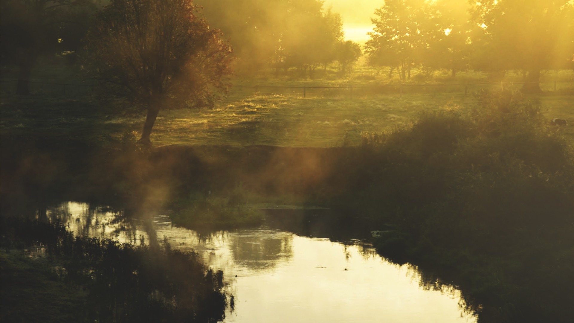 Landscape River Morning Sun Clear Sky Oak Trees Forest Photography Justyna Ferska Poland 1920x1080