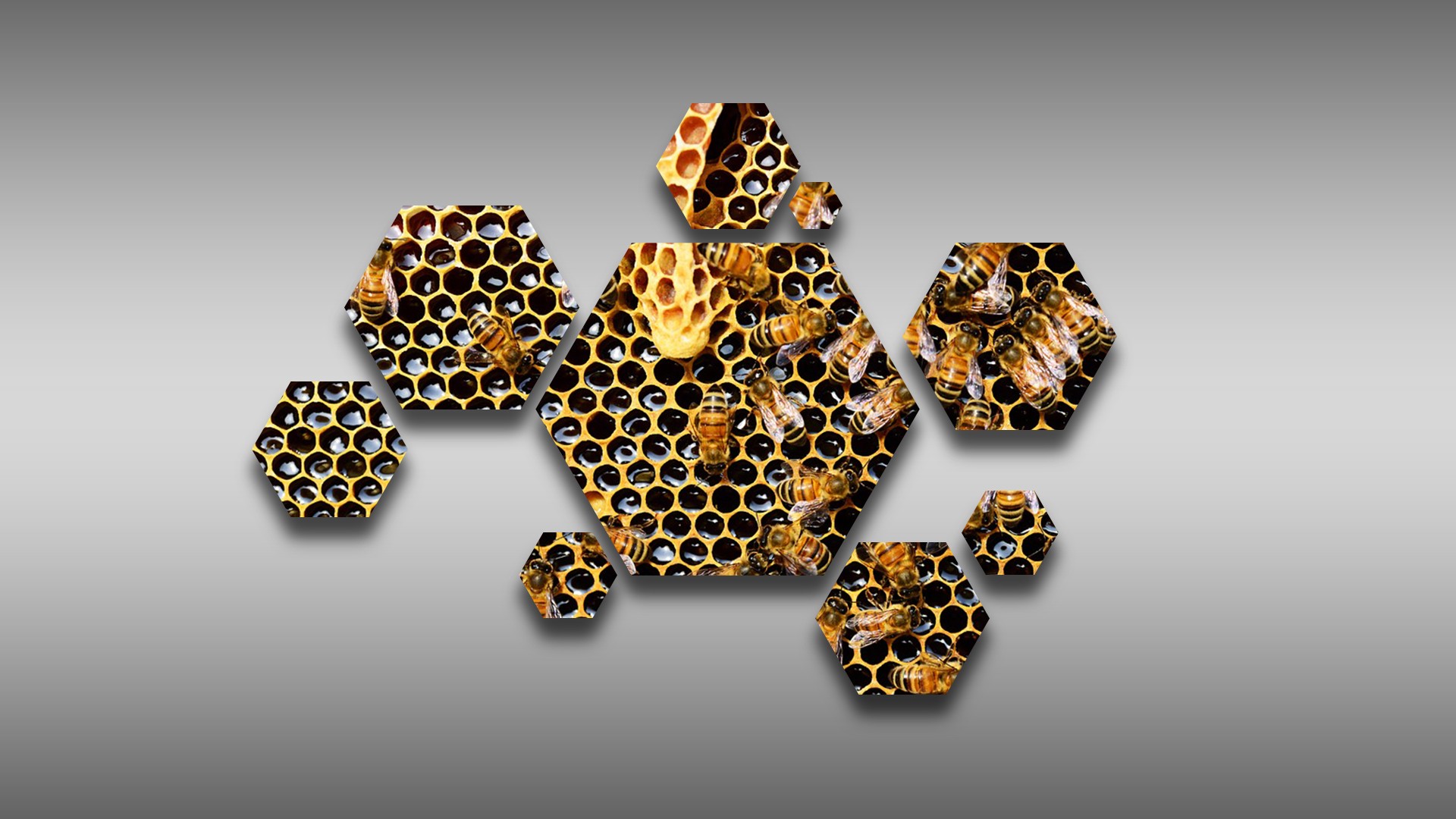Hexagon Bees Hive Honeycombs Honey 1920x1080