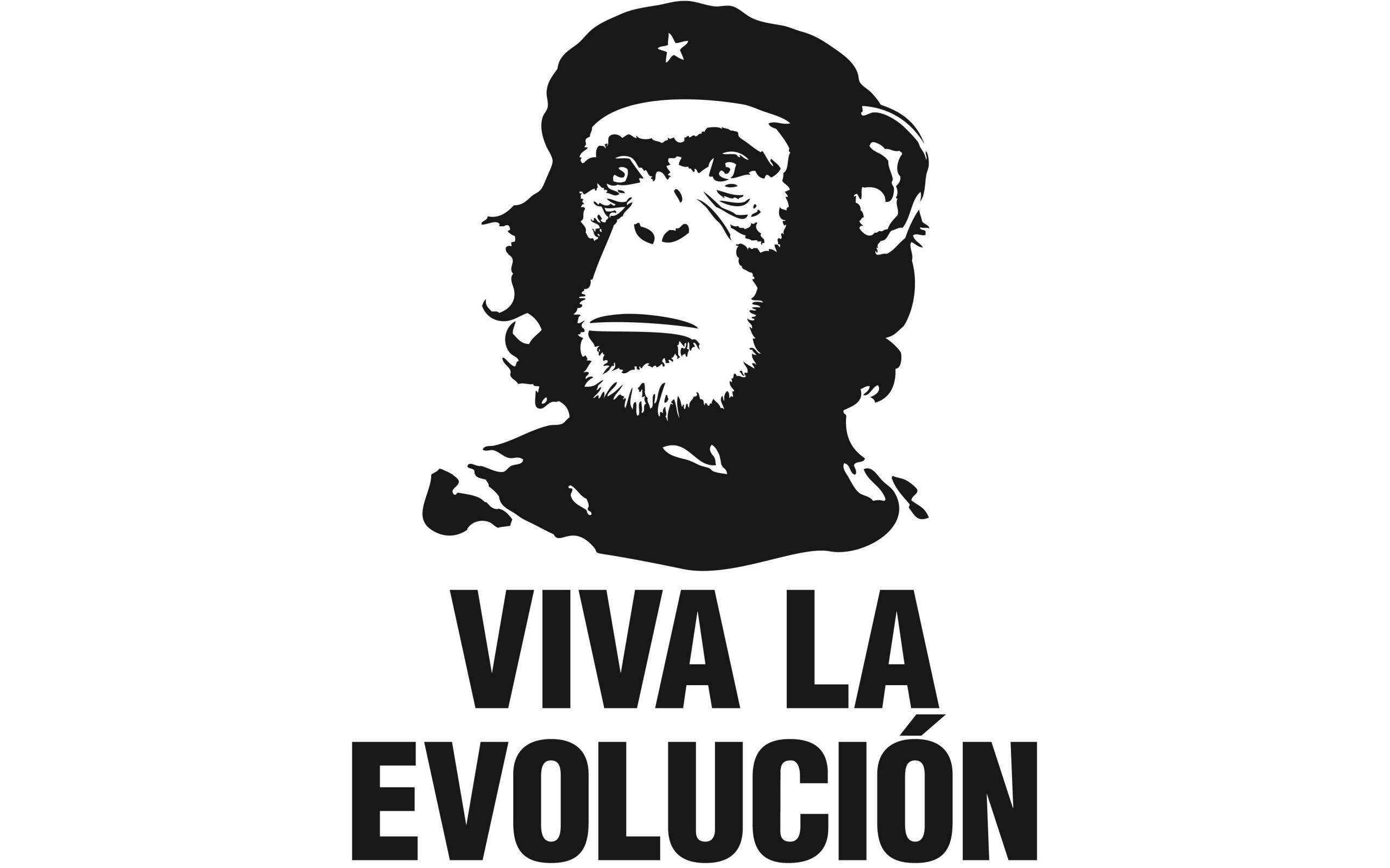 Humor White Background Che Guevara Simple Chimpanzees Evolution 2560x1600