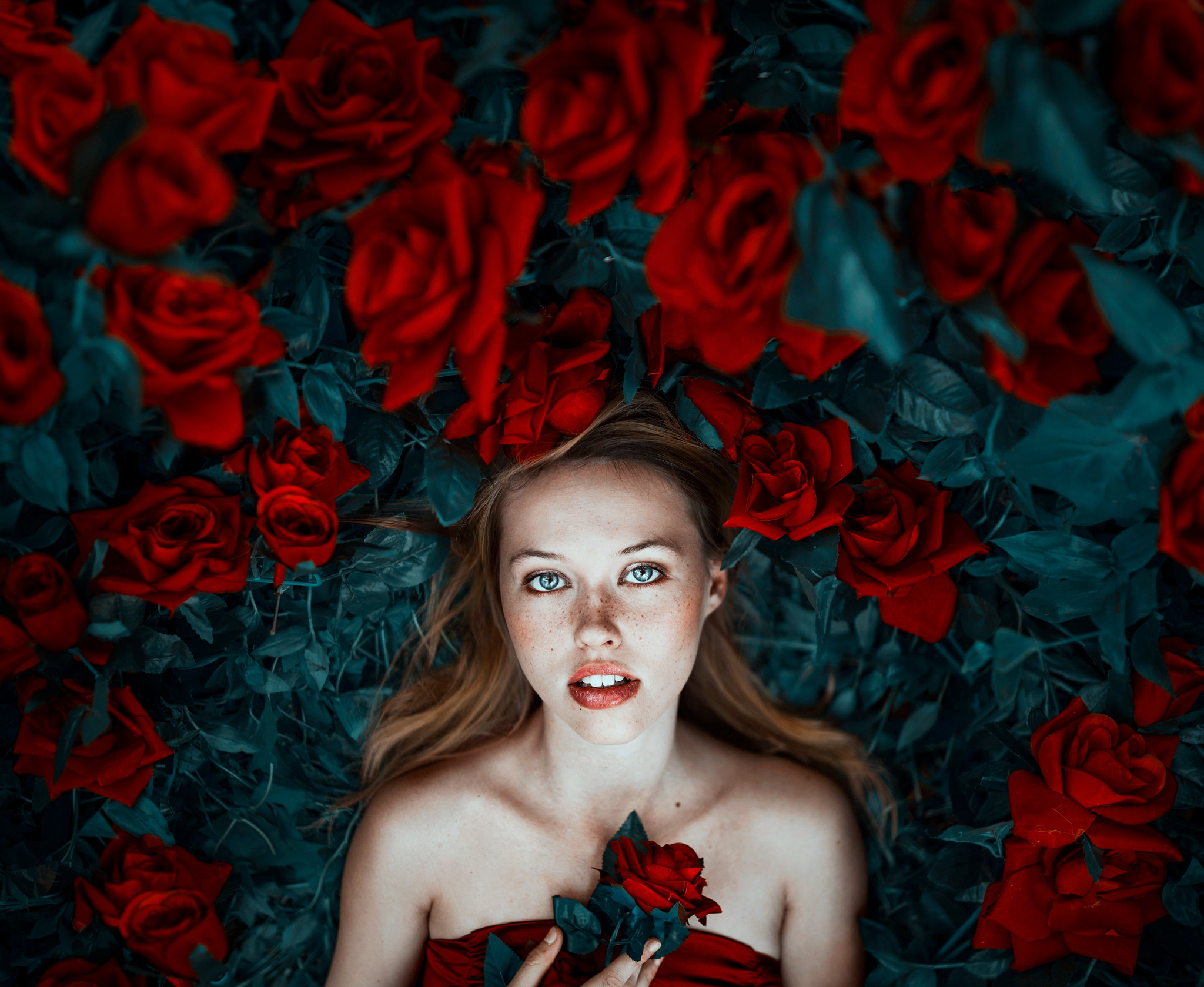 Blue Eyes Roses Rose Women Lying Down Model Red Flowers Blonde Flowers Ronny Garcia 2048x1679