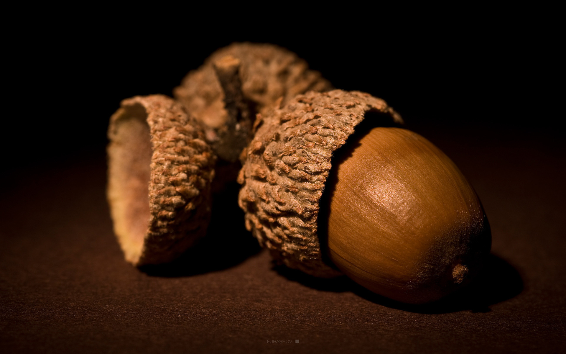 Food Acorn 1920x1200