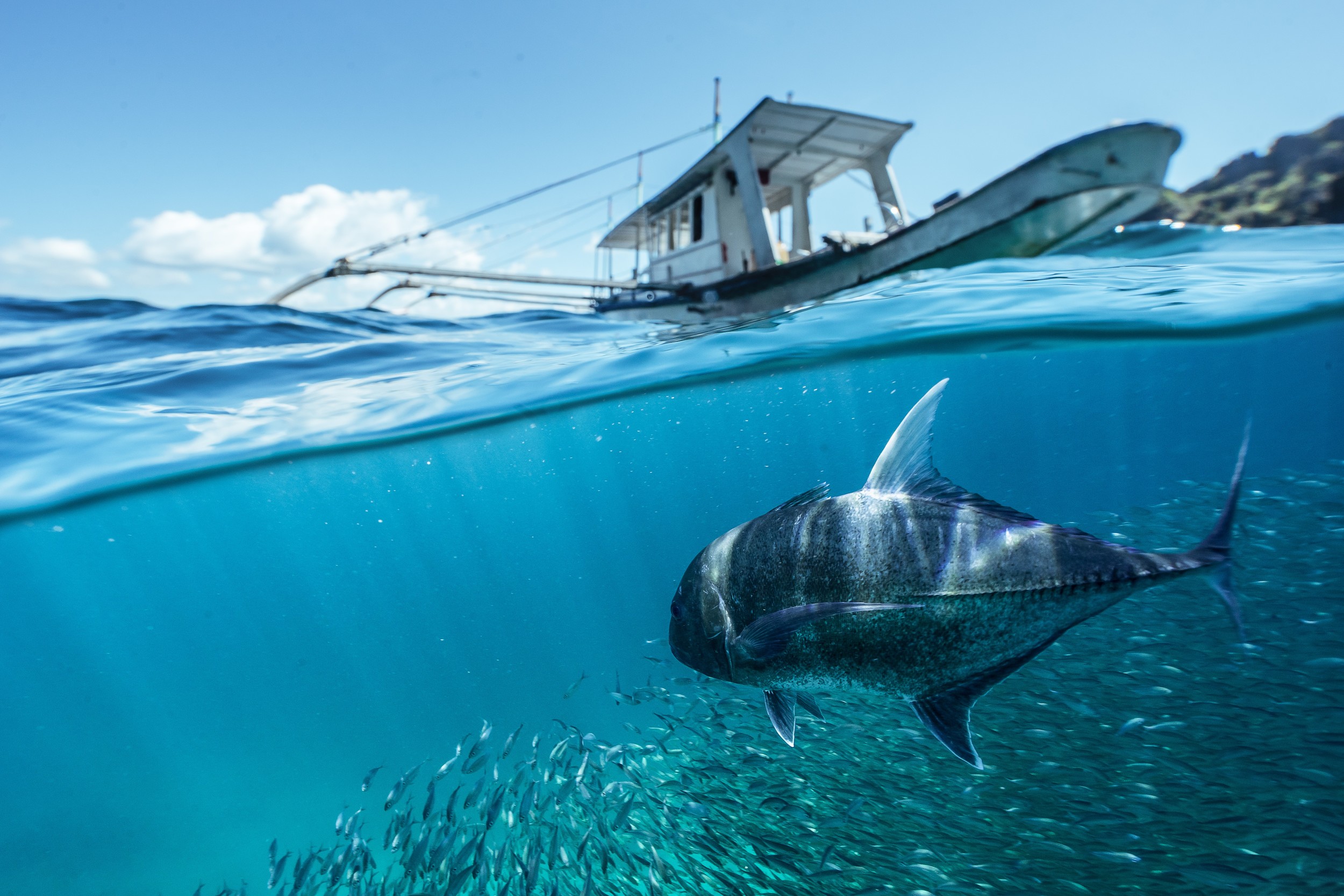 Fish Sea Underwater Boat China Nature Paul Toma 2500x1667