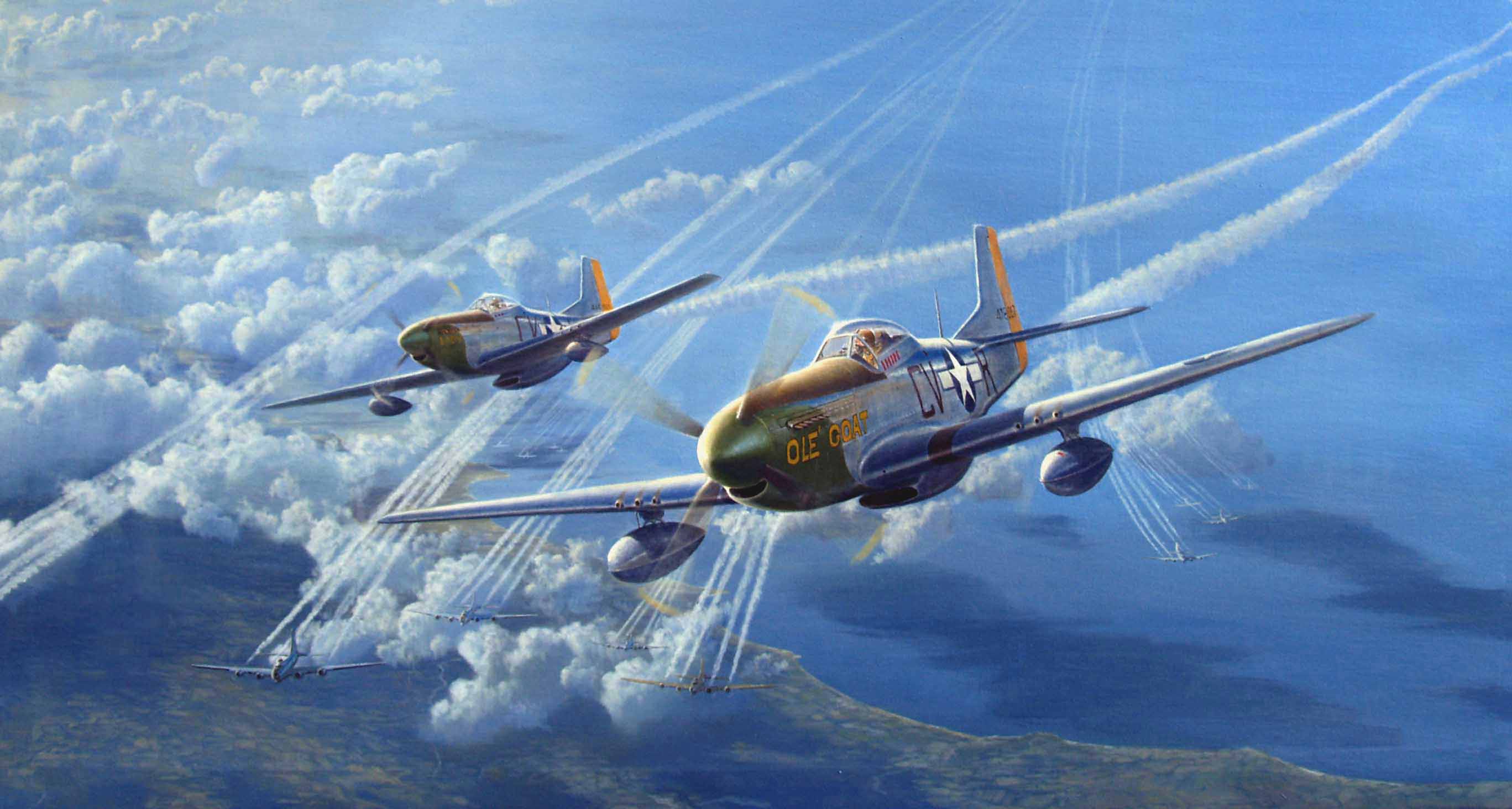 Military North American P 51 Mustang 2735x1464
