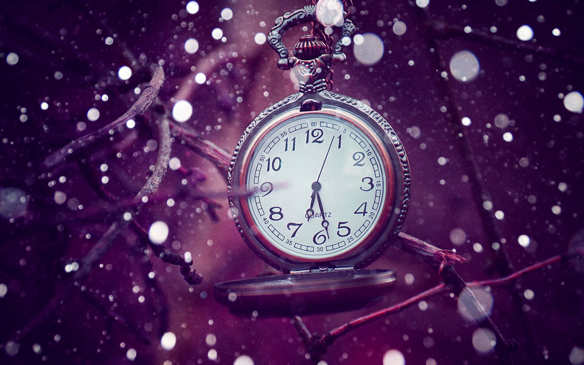 Pocketwatches Violet Macro Snowing 1920x1200