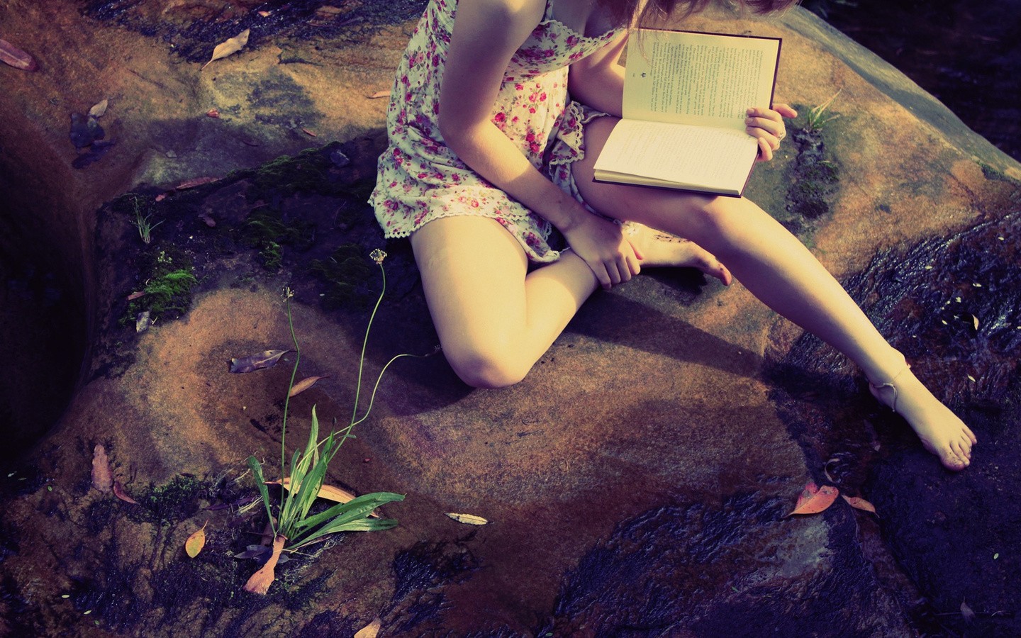 Model Books Barefoot Introvert Women Outdoors Sitting Reading Plants Women 1440x900