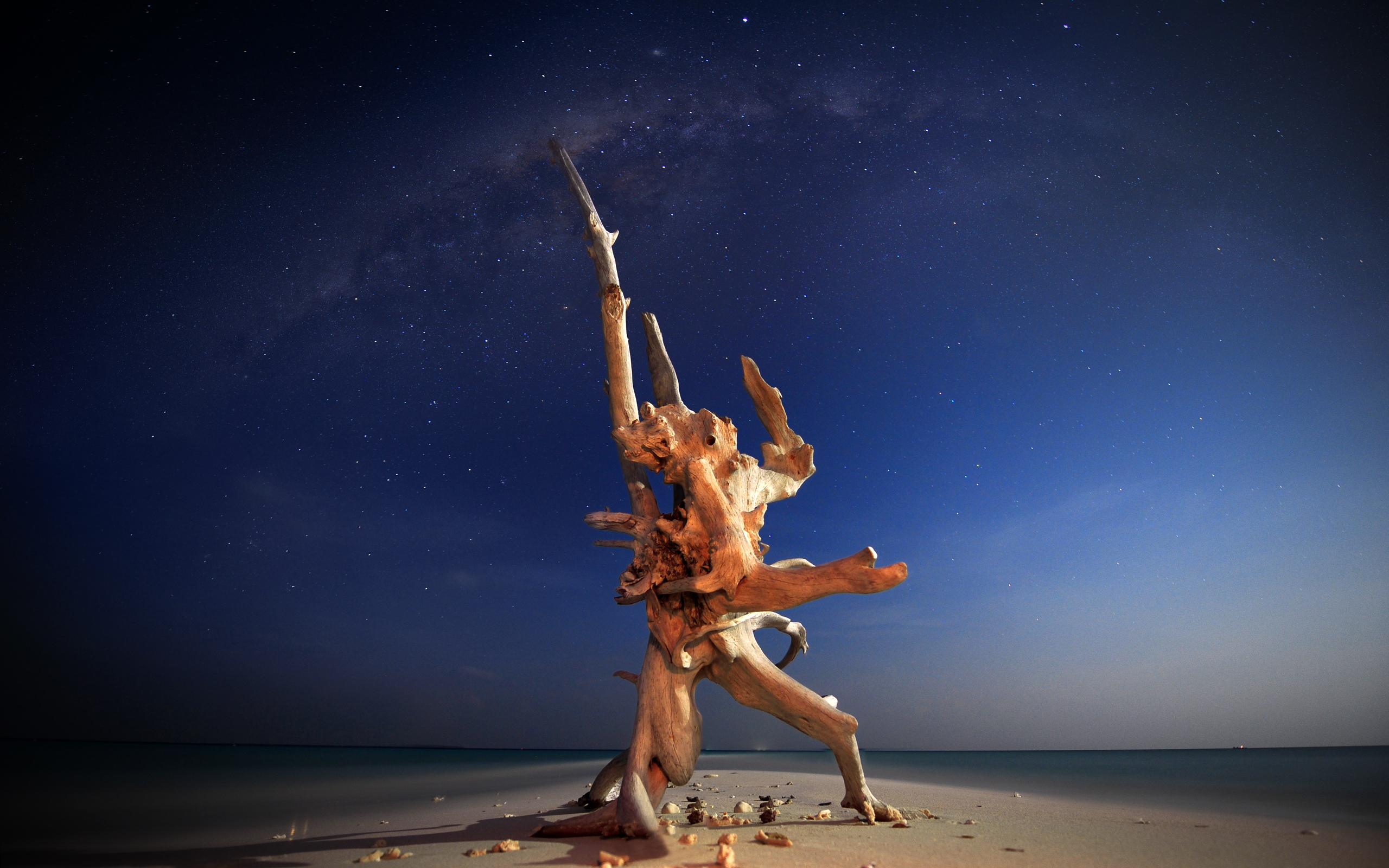 Beach Night Driftwood Space Ocean Milky Way Horizon 2560x1600