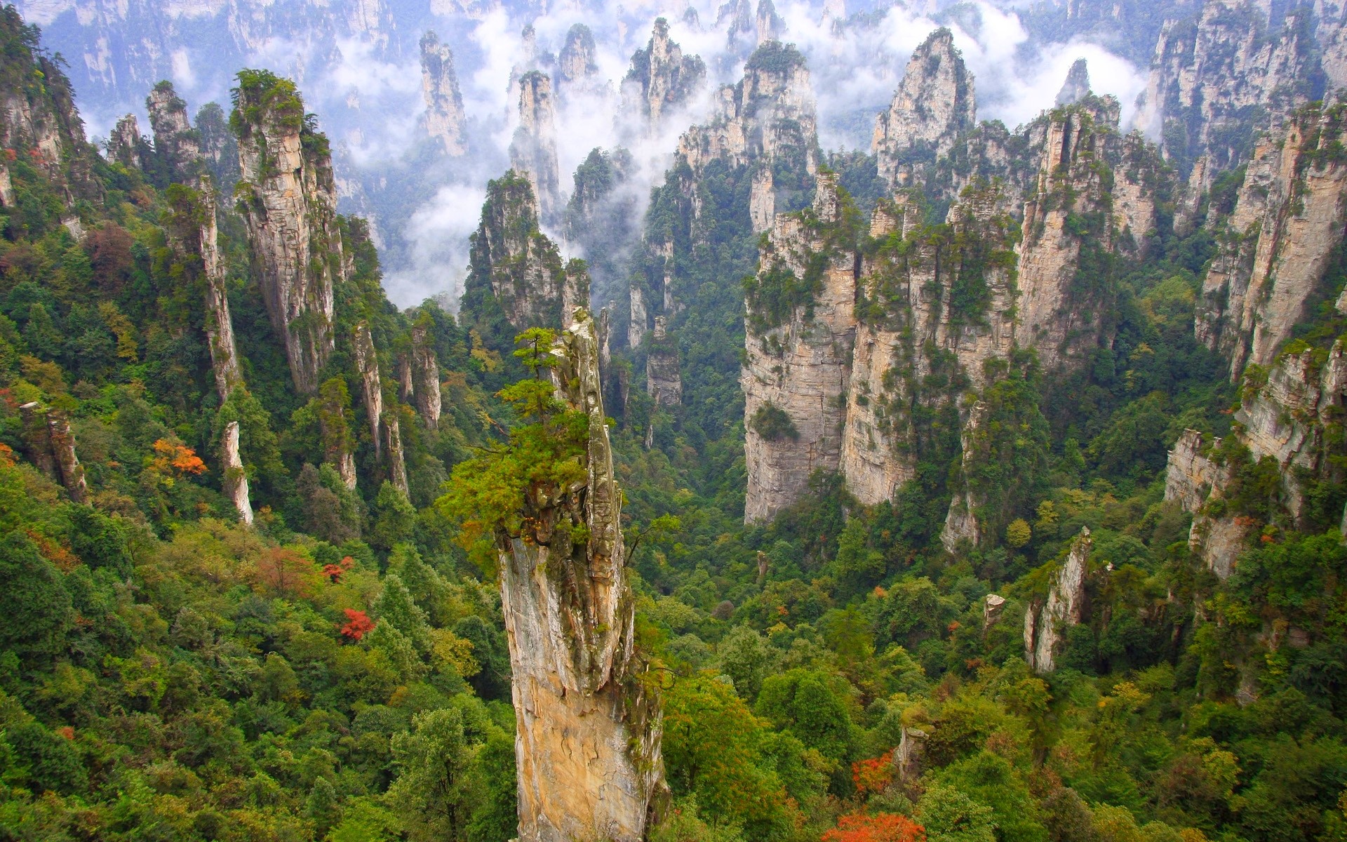 China Forest Mountains Clouds Limestone Cliff Trees Green Nature Landscape 1920x1200