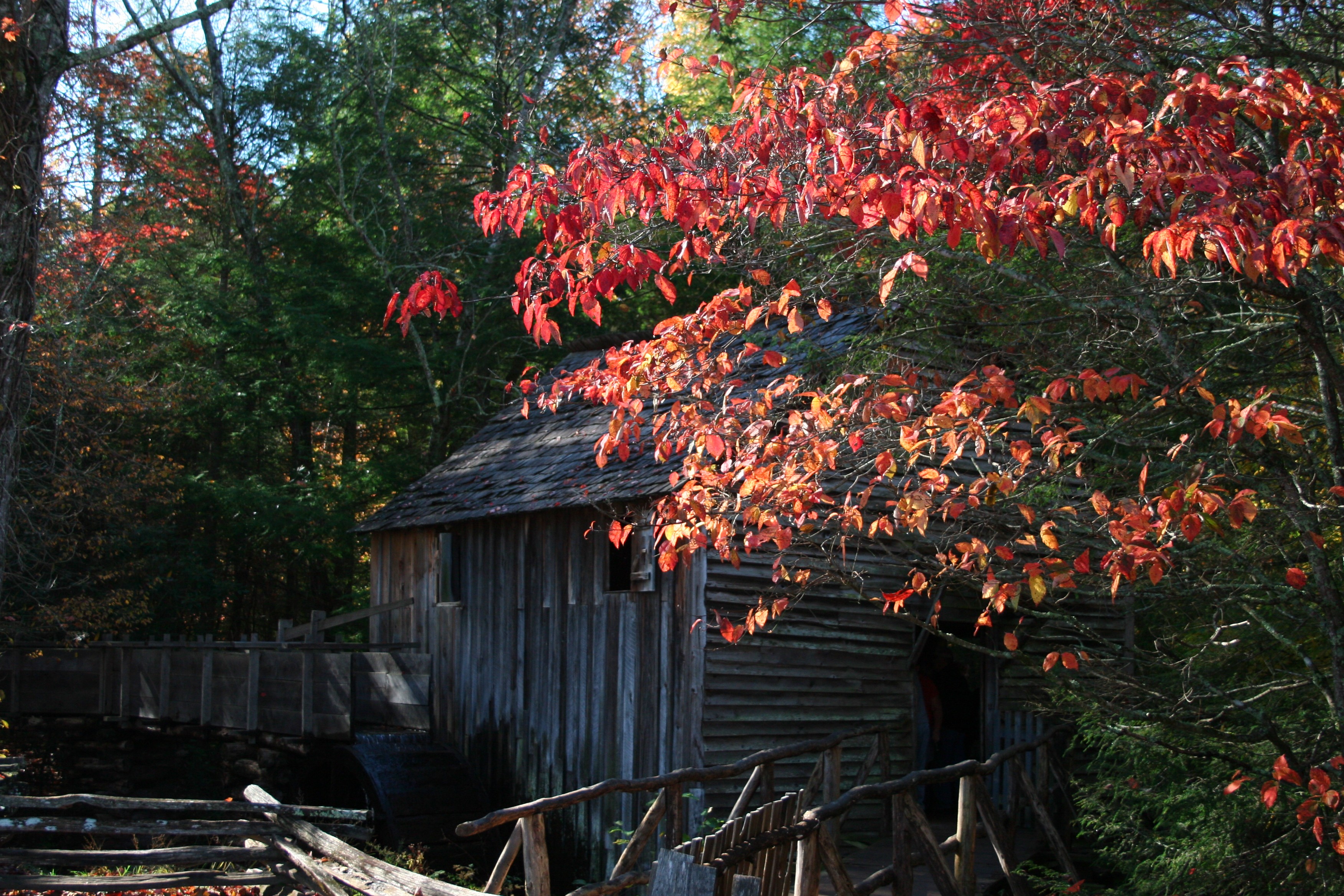 Forest Watermills Wood House Red Leaves 3504x2336