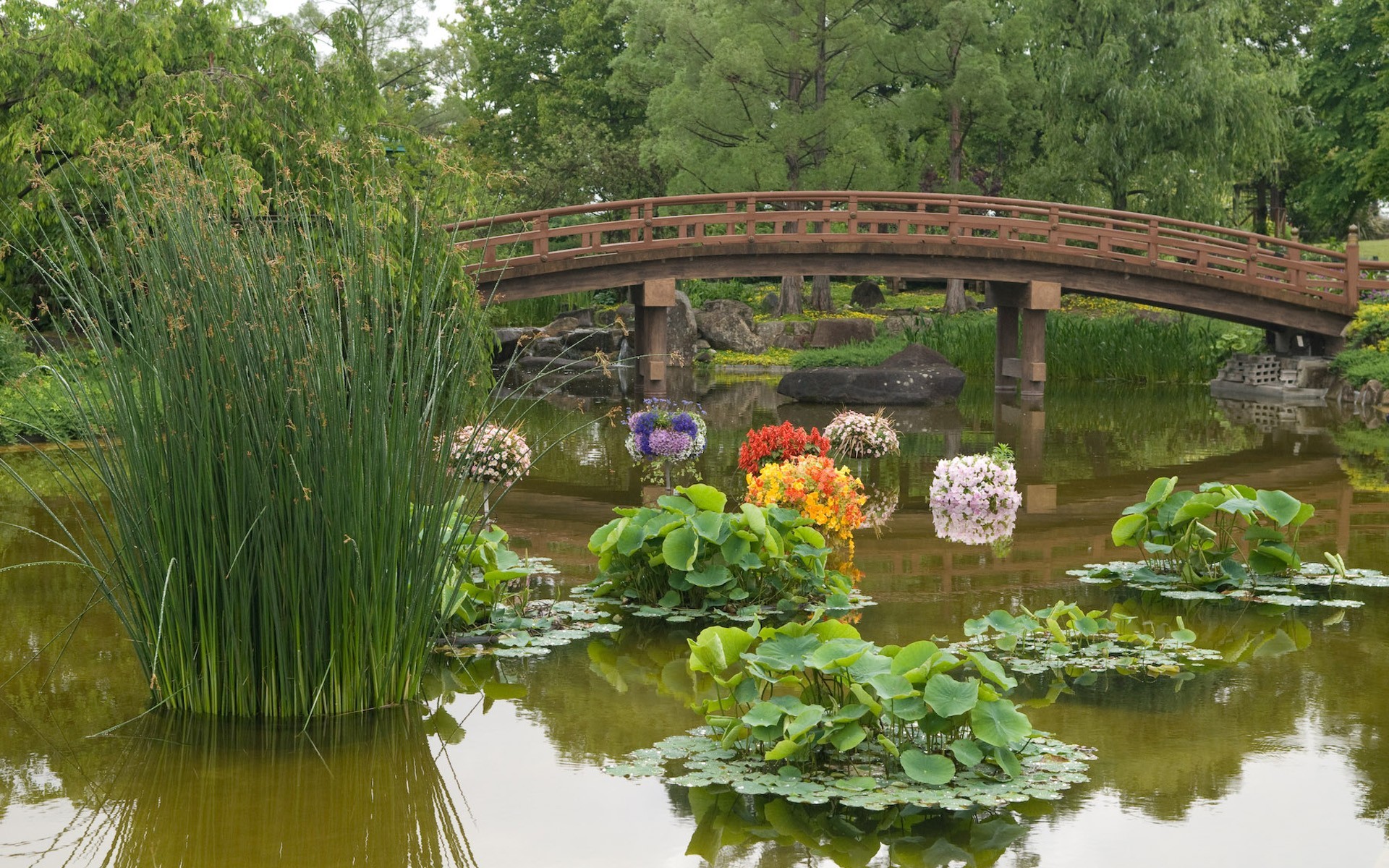 Japanese Garden Pond Wood Bridge Water Lilies Garden 1920x1200