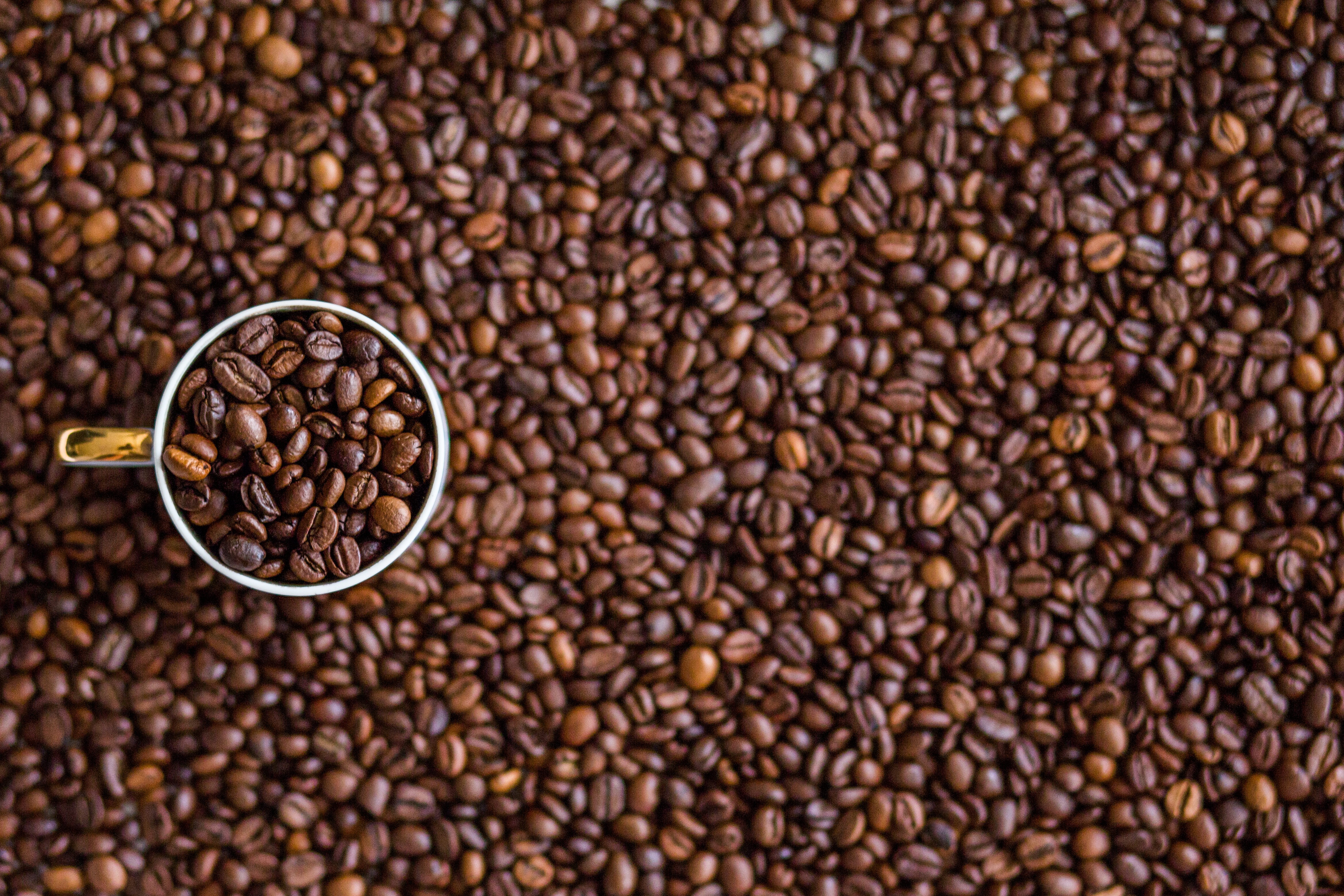 Coffee Beans Mugs Food 4684x3123