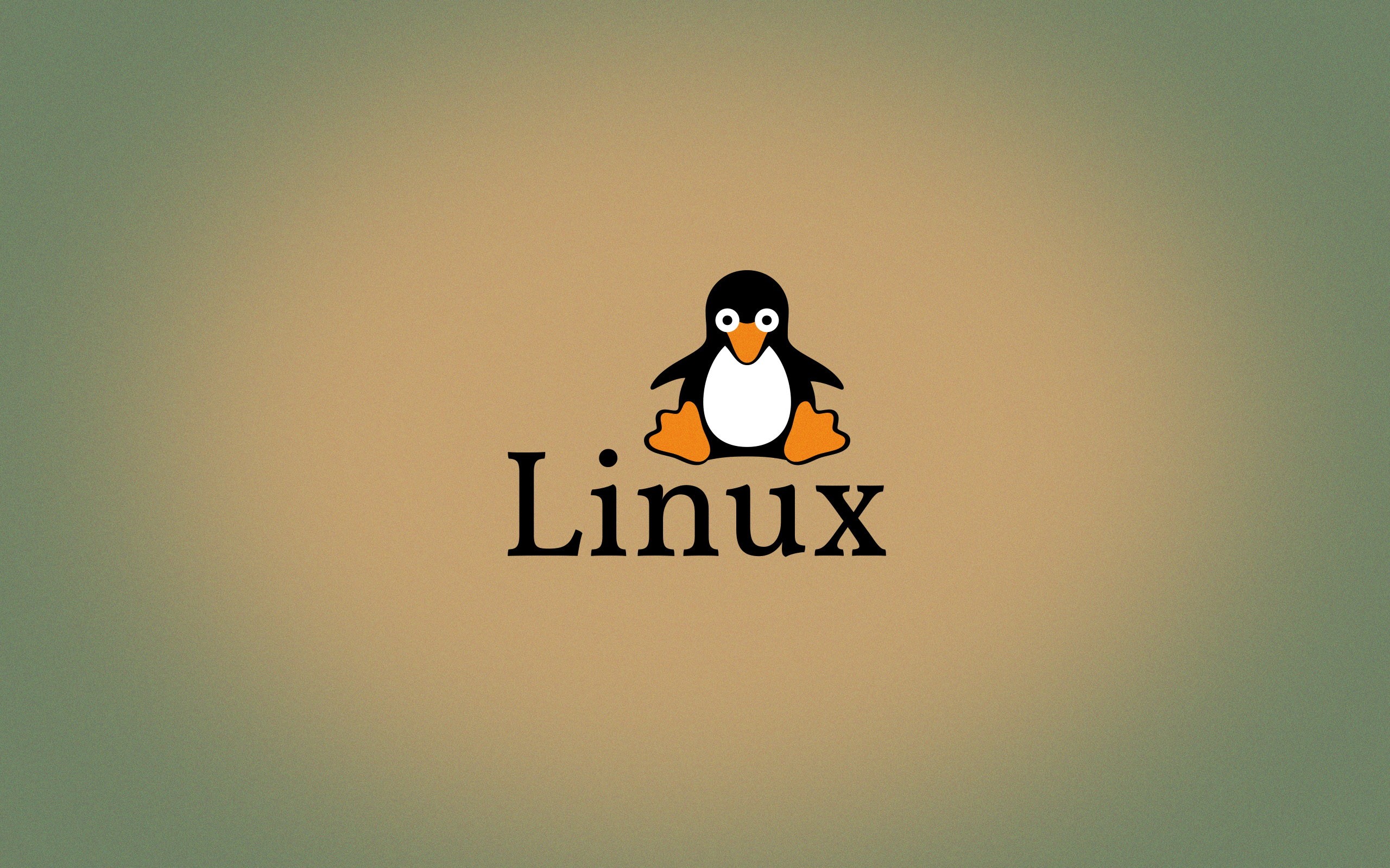 Linux Tux Open Source Penguins Logo 2560x1600