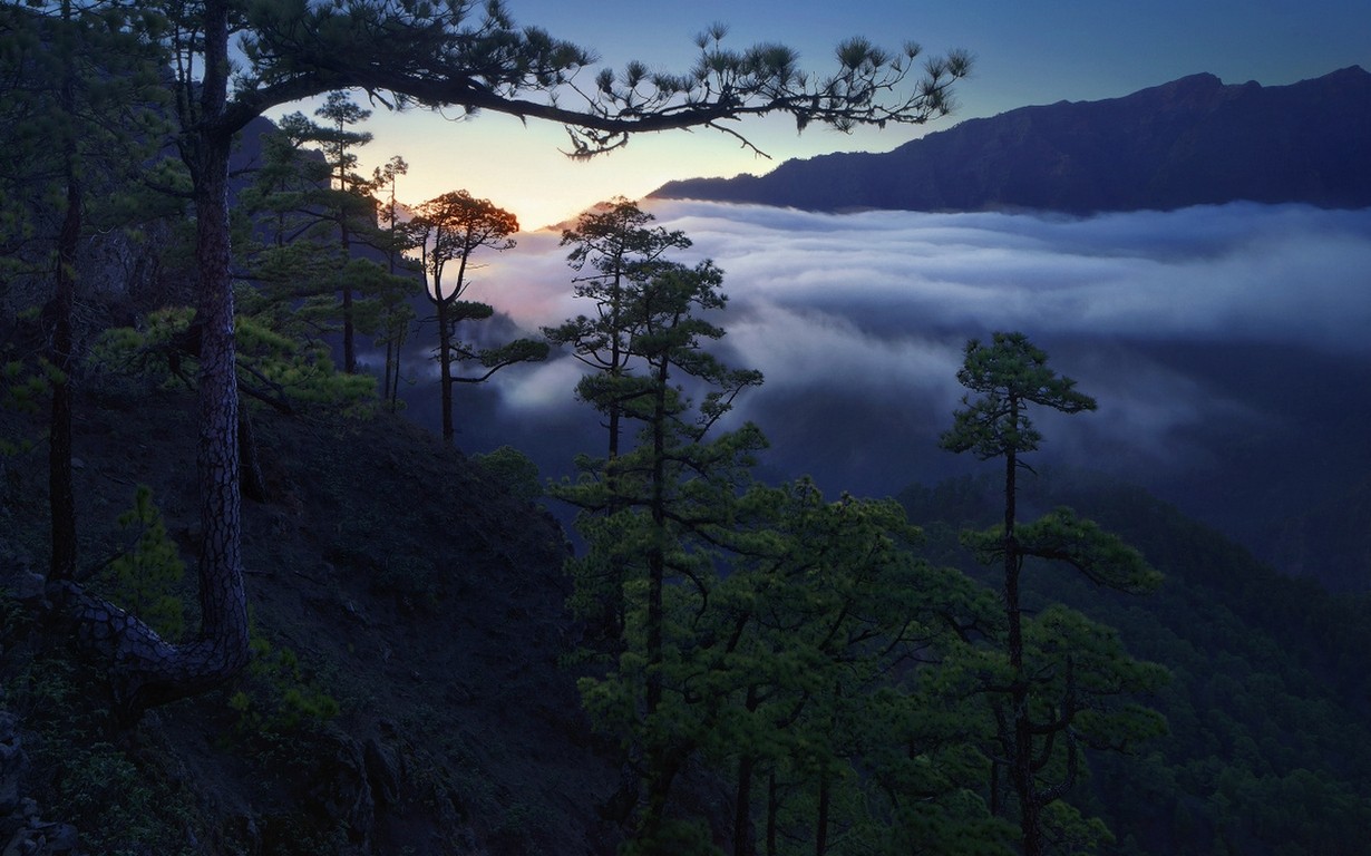 Landscape Nature Pine Trees Mountains Clouds Sunset Forest Canary Islands Spain Mist 1230x768