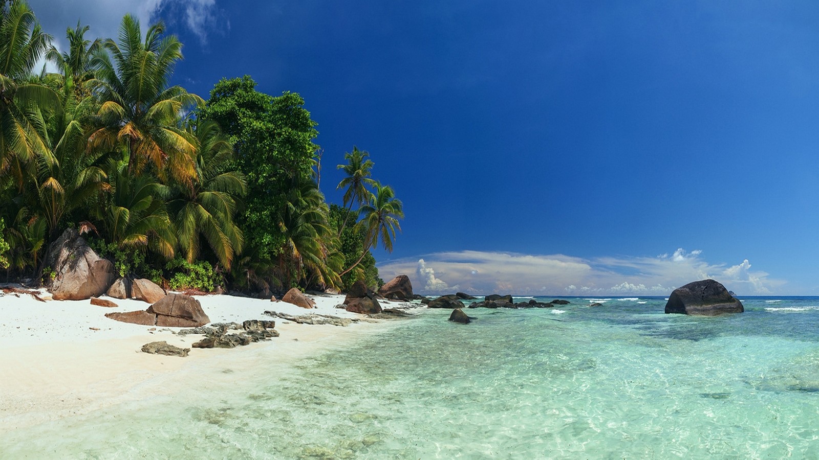 Landscape Beach Nature Palm Trees Sea Island Seychelles Sand Tropical Summer Rock Water Vacation Clo 1600x900