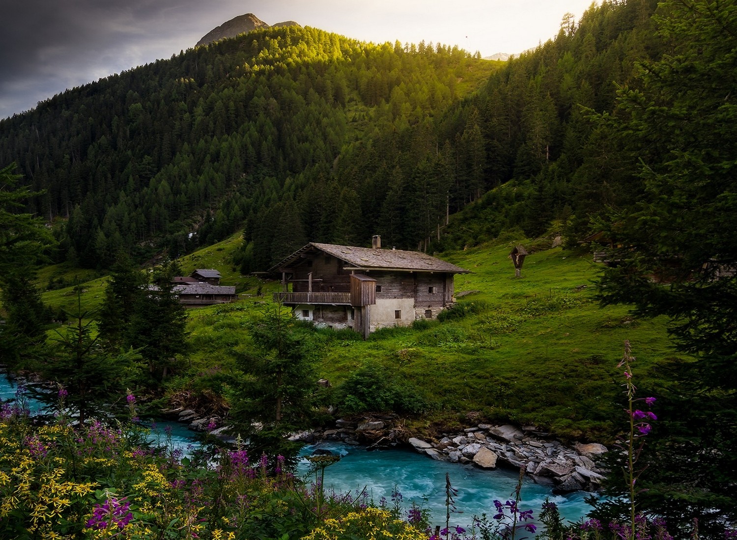 Nature Landscape River Cottage Forest Alps Wildflowers Austria Mountains Spring Trees Water Green Tu 1500x1100