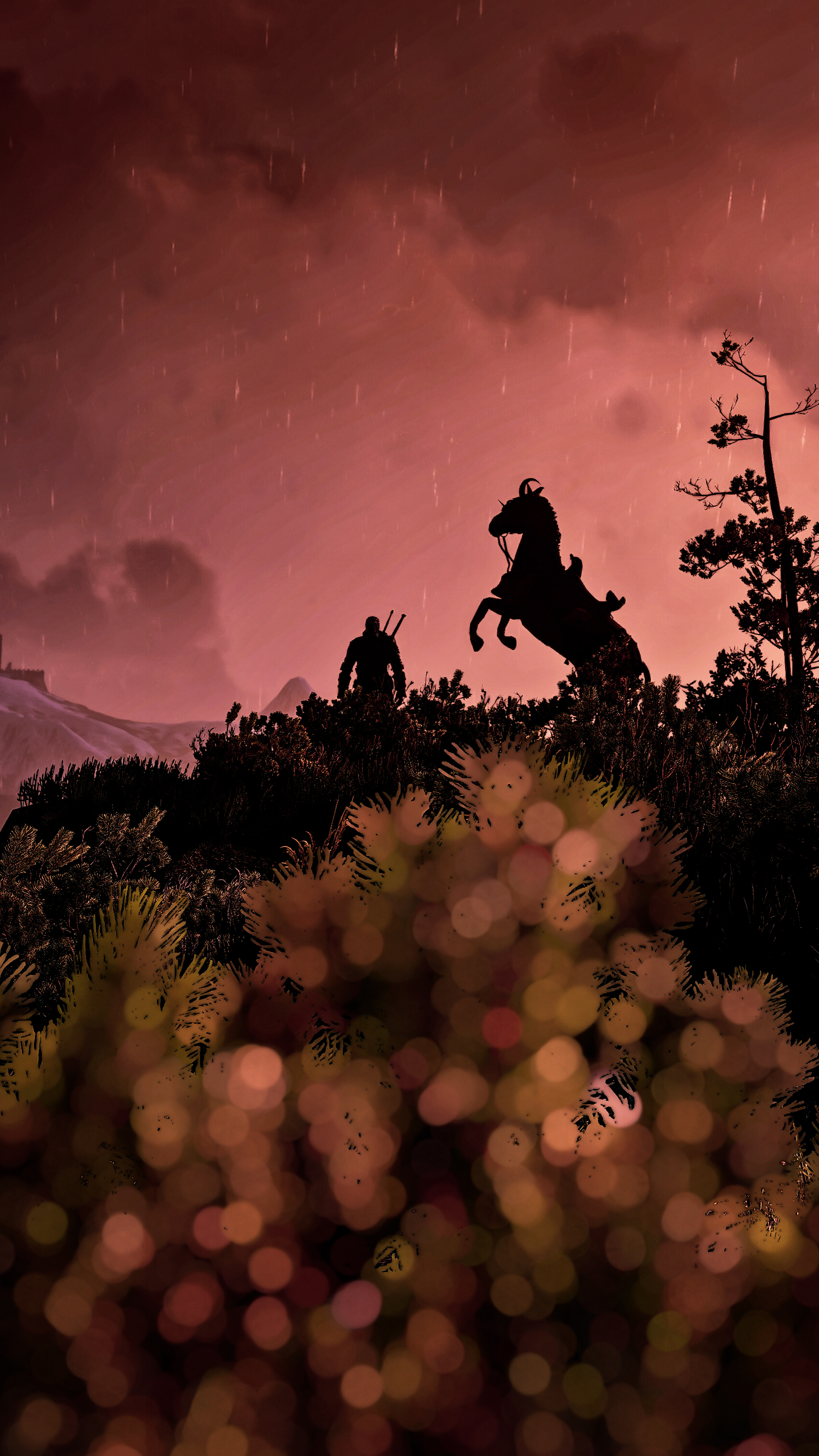 The Witcher 3 Wild Hunt The Witcher Geralt Of Rivia Roach Screen Shot 1688x3000