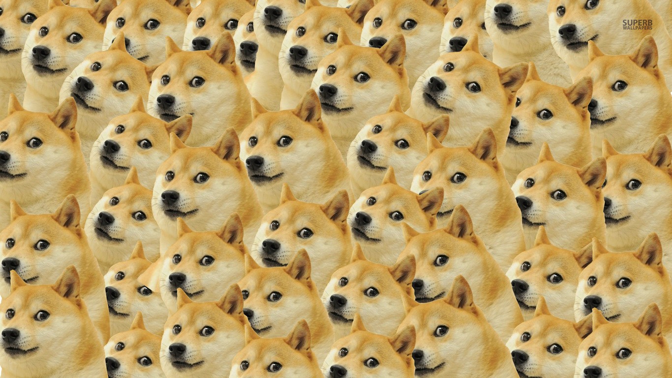 Doge Memes Face Dog 1366x768