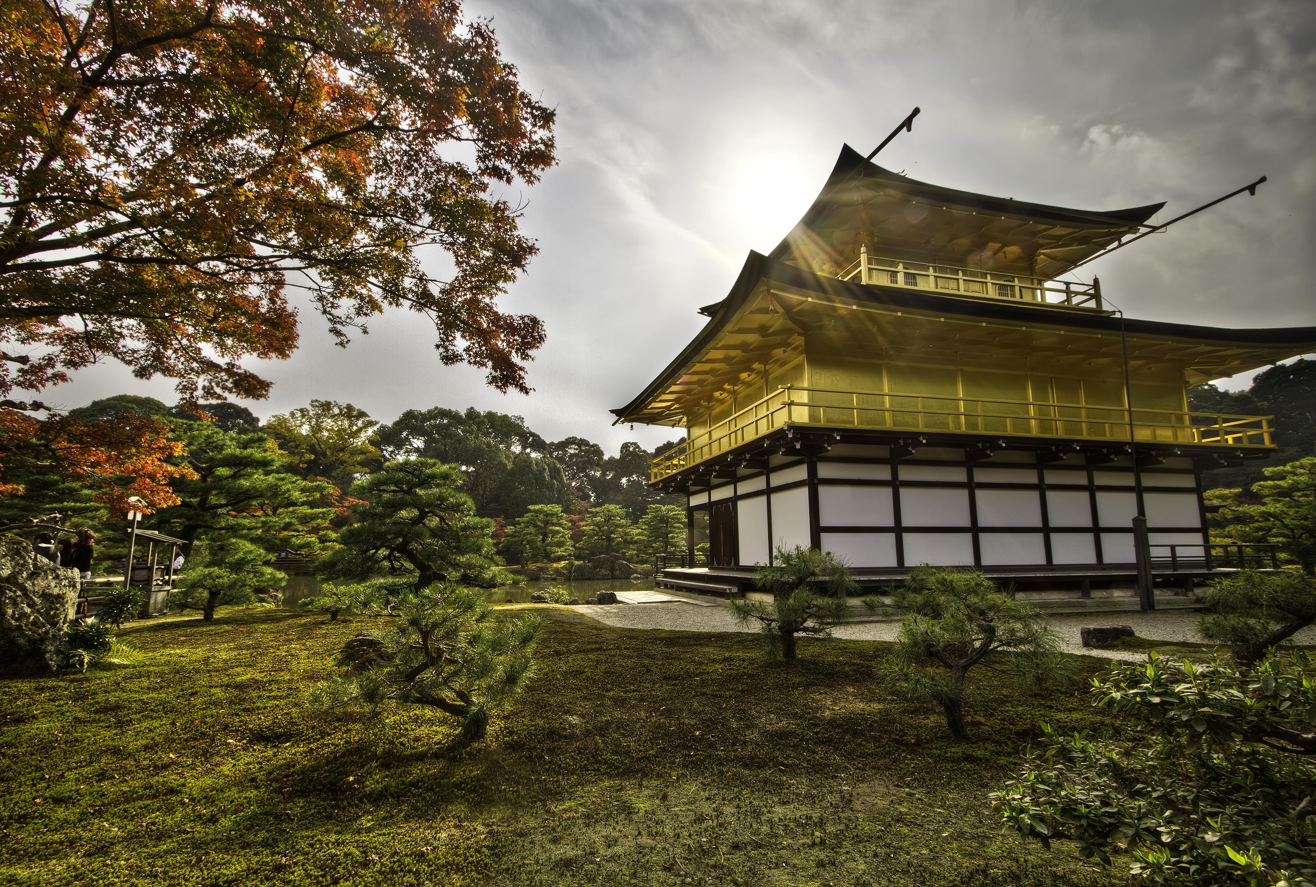 Kinkaku Ji Kyoto Japan The Temple Of The Golden Pavilion Golden Temple Sun 5111x3446