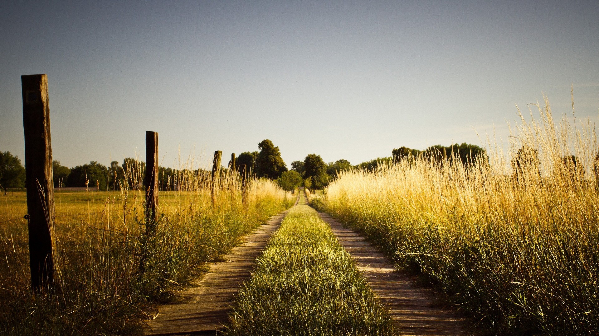 Nature Landscape Dirt Road Fence Dry Grass 1920x1080