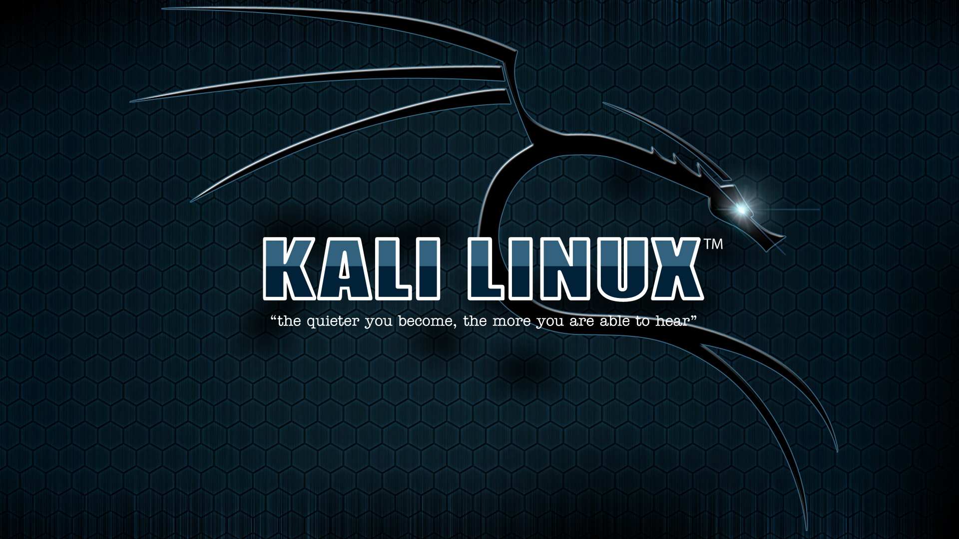 Kali Linux Typography Texture 1920x1080