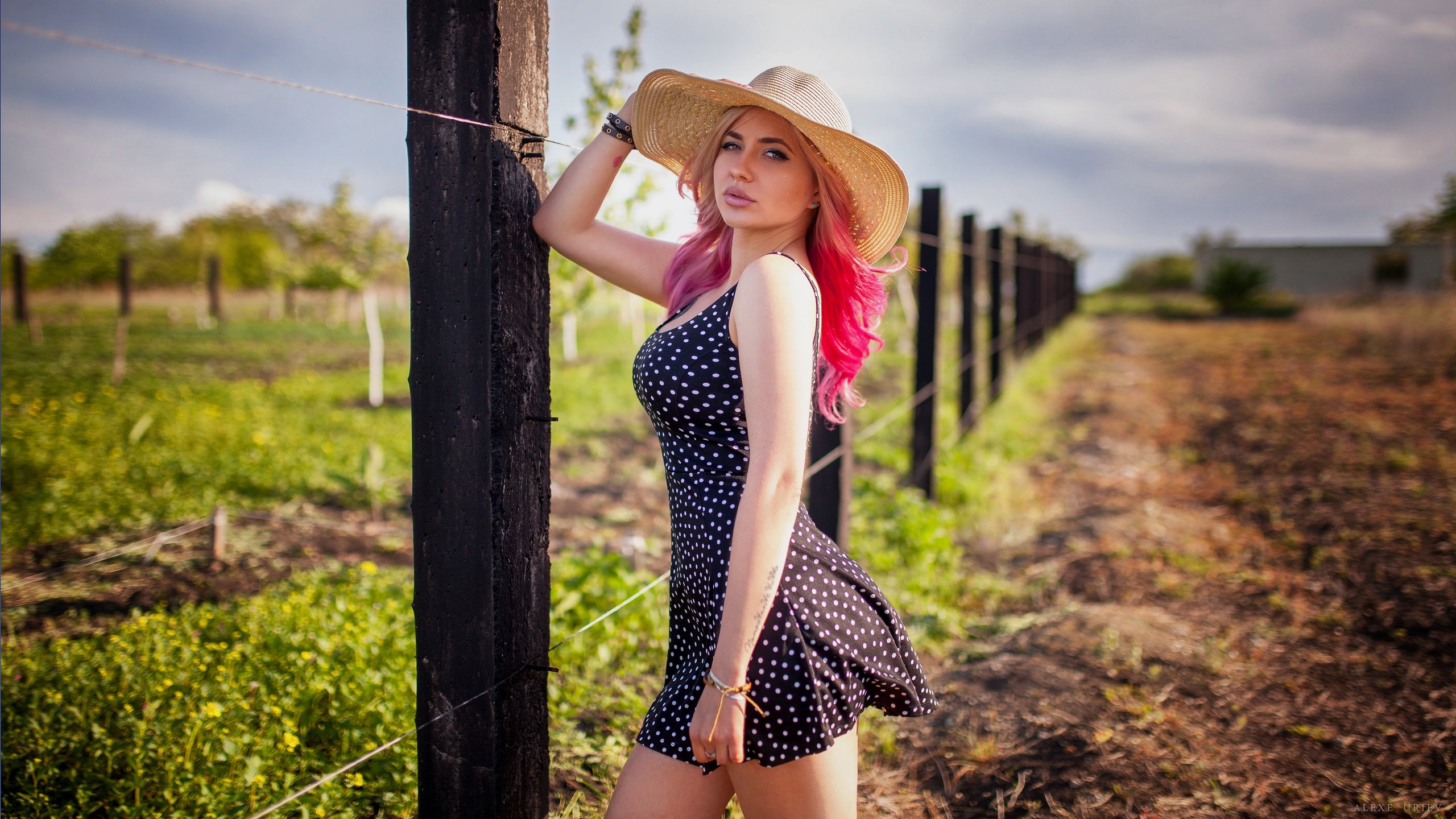 Women Blonde Hat Dyed Hair Pink Hair Women Outdoors Dress Long Hair Standing Natural Light Alexey Yu 2560x1440