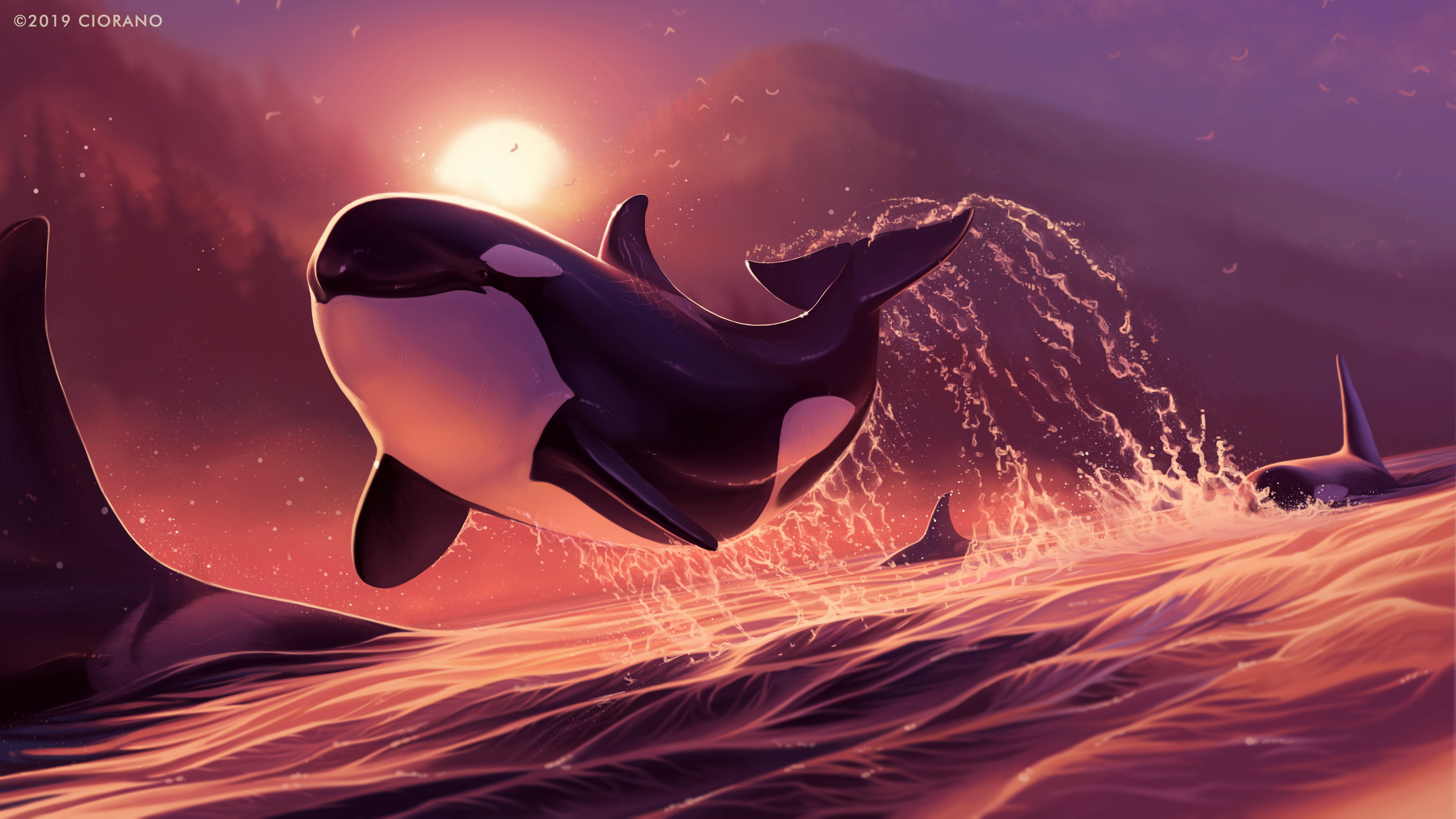 Digital Digital Art Artwork Illustration Drawing Digital Painting Water Sea Animals Whale Orca Dolph 5250x2953