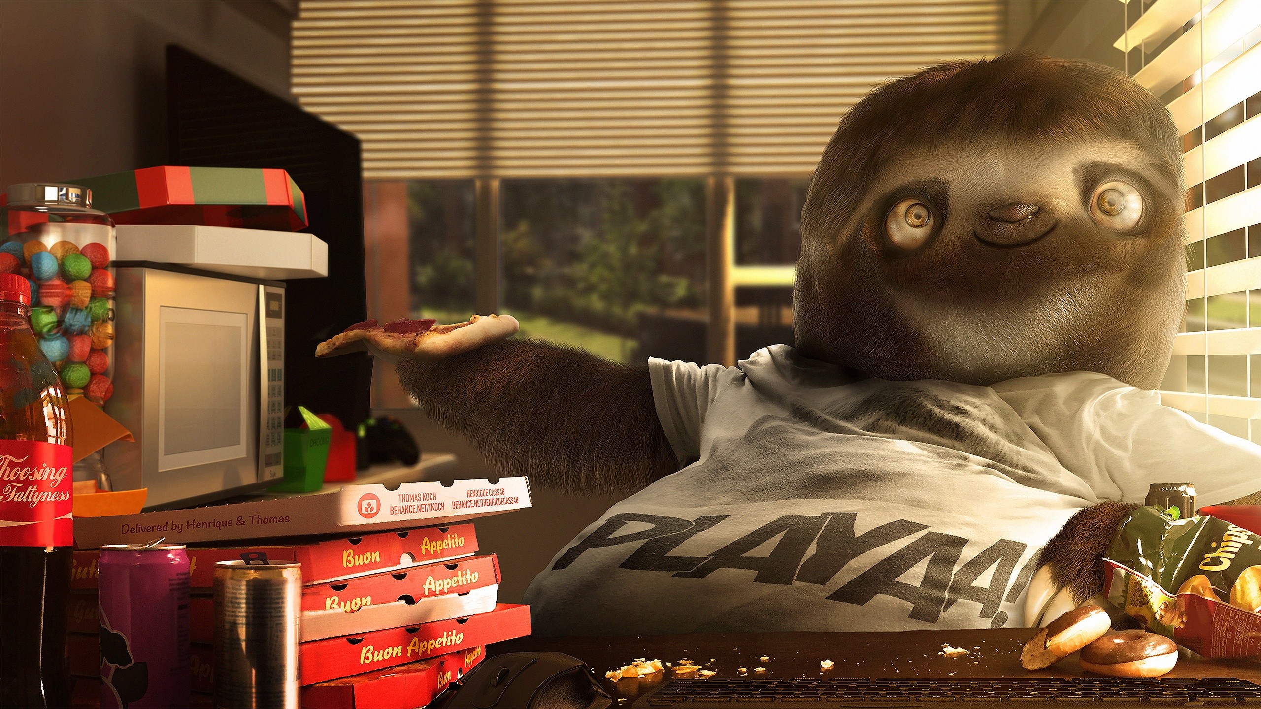 Sloths Lazy Pizza 2560x1440