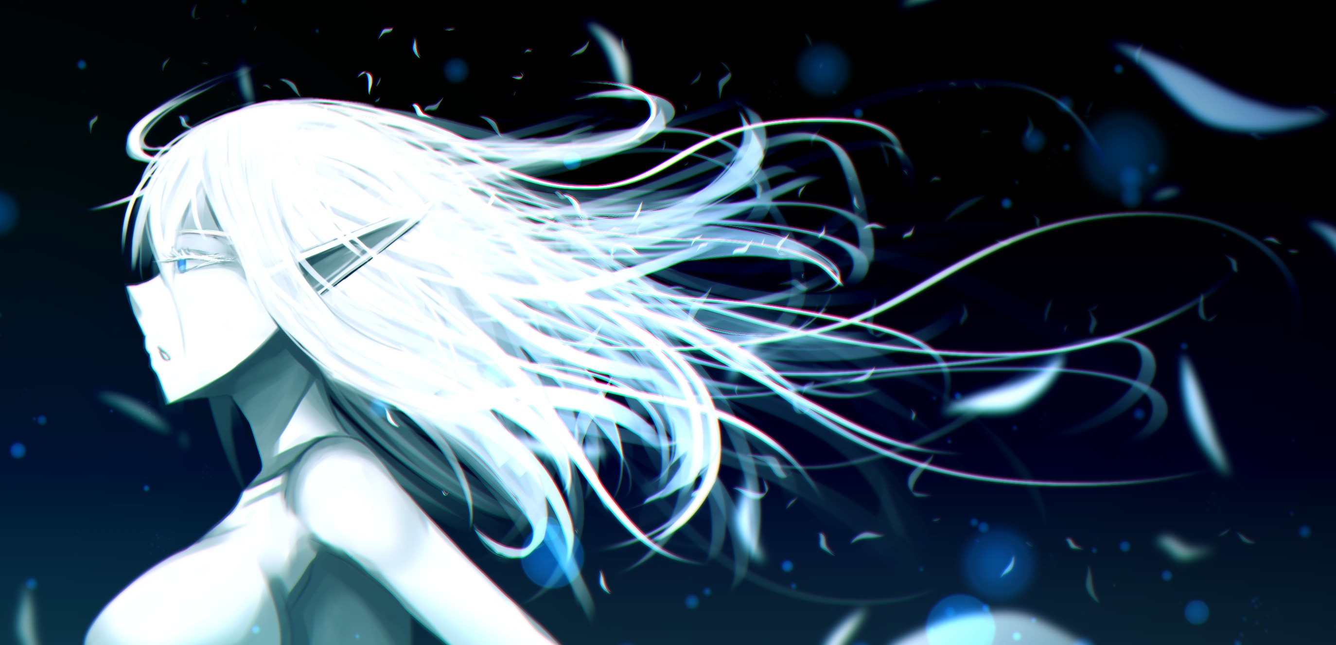 Aqua Eyes Long Hair Monochrome Factor Monochrome Pointed Ears White Hair Blue 2748x1326