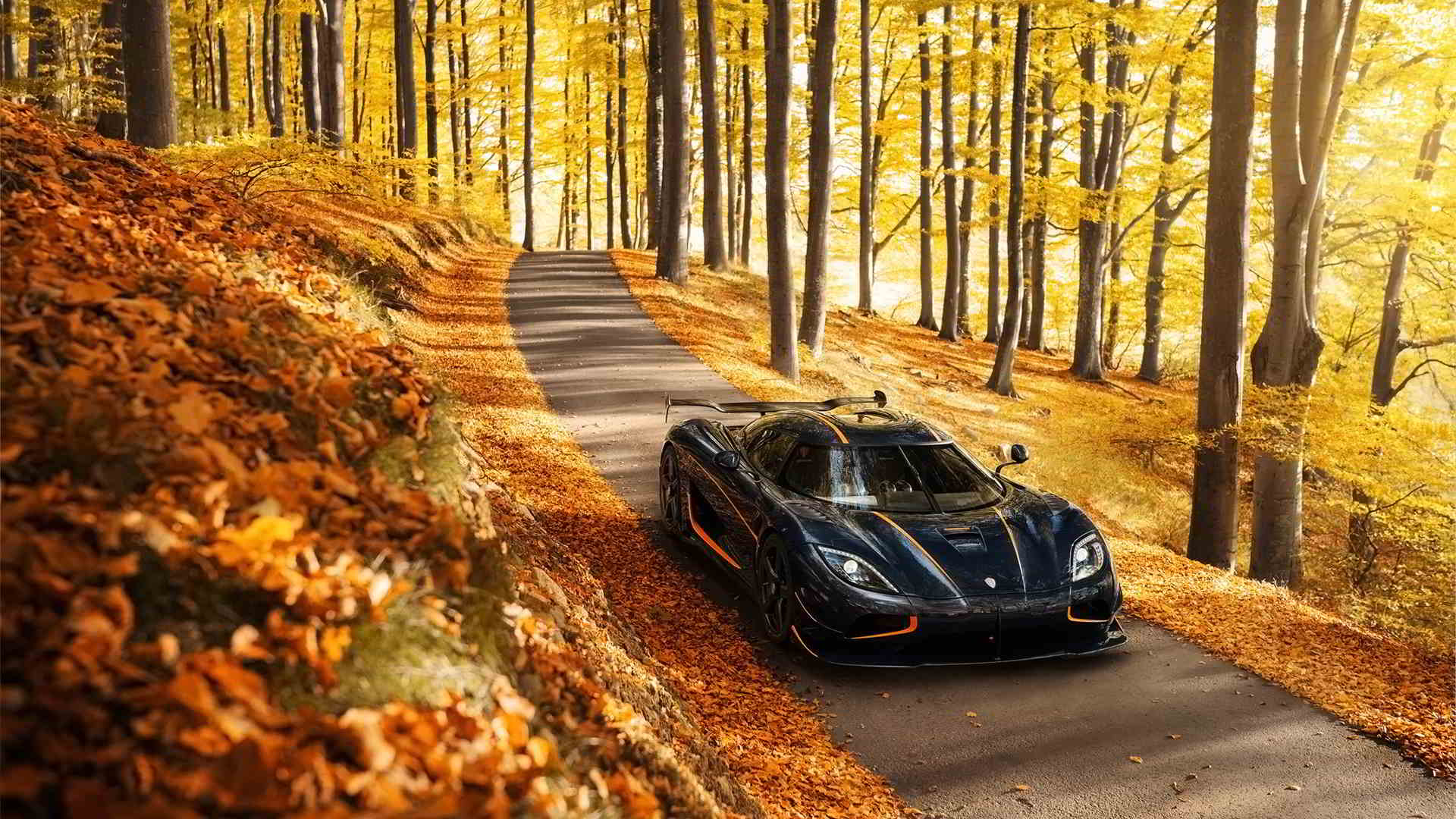 Agera R Fall Car Leaves Trees Koenigsegg Yellow Road Black Cars Front Angle View 1920x1080