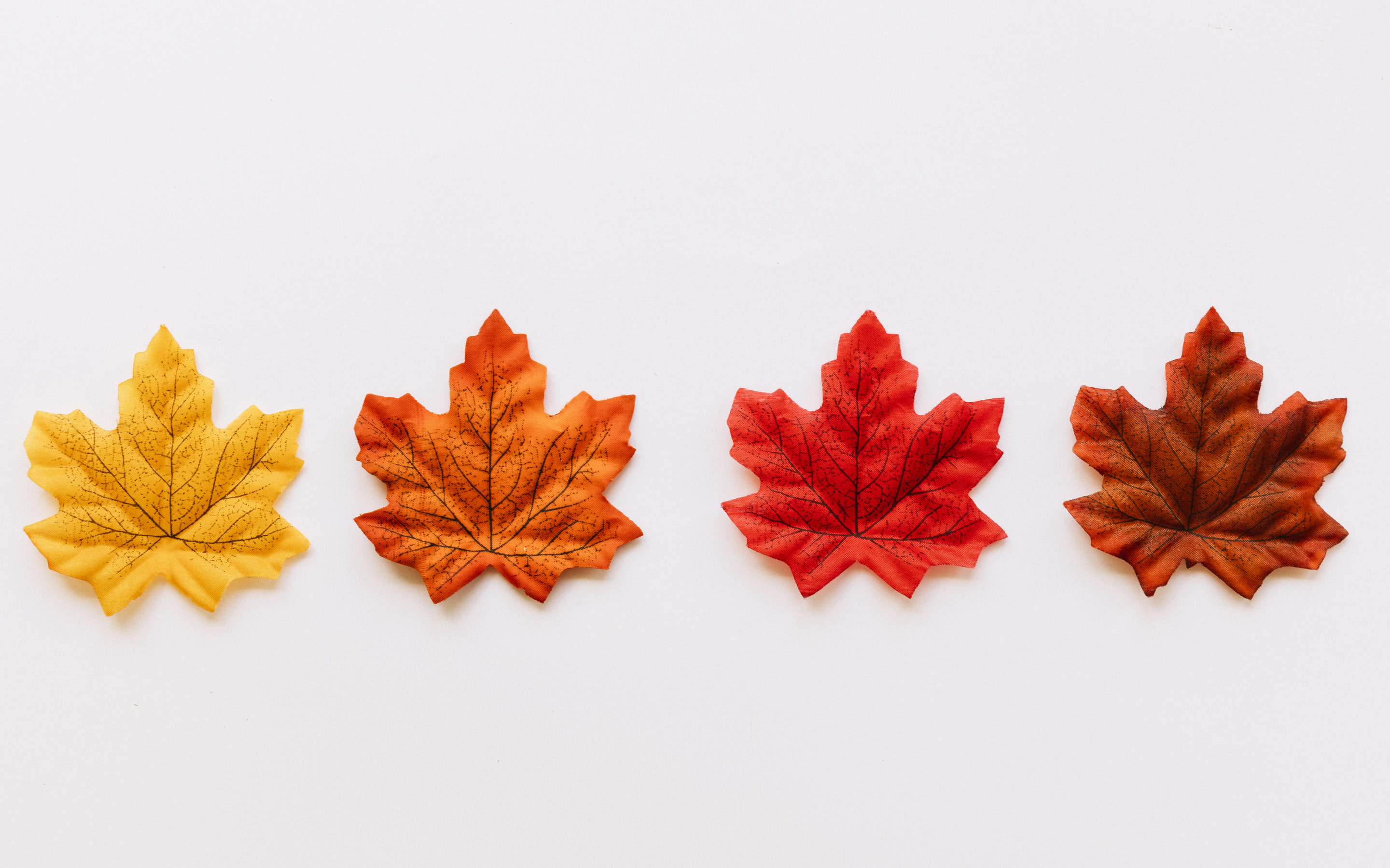 White Background Digital Art Texture Leaves Maple Leaves Fall Fallen Leaves Minimalism Textured 2880x1800