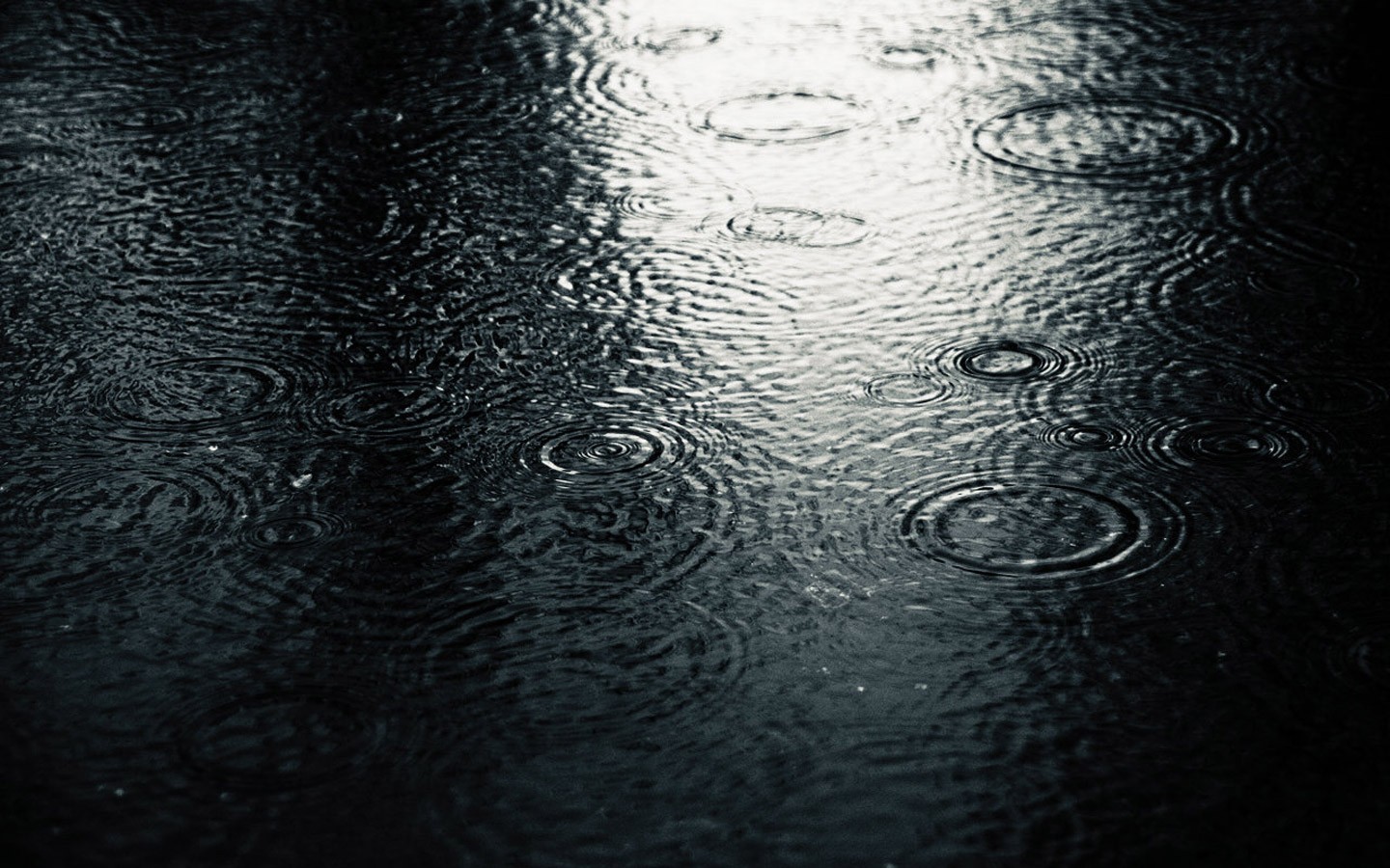Rain Water Gloomy Ripples Wet Road 1440x900