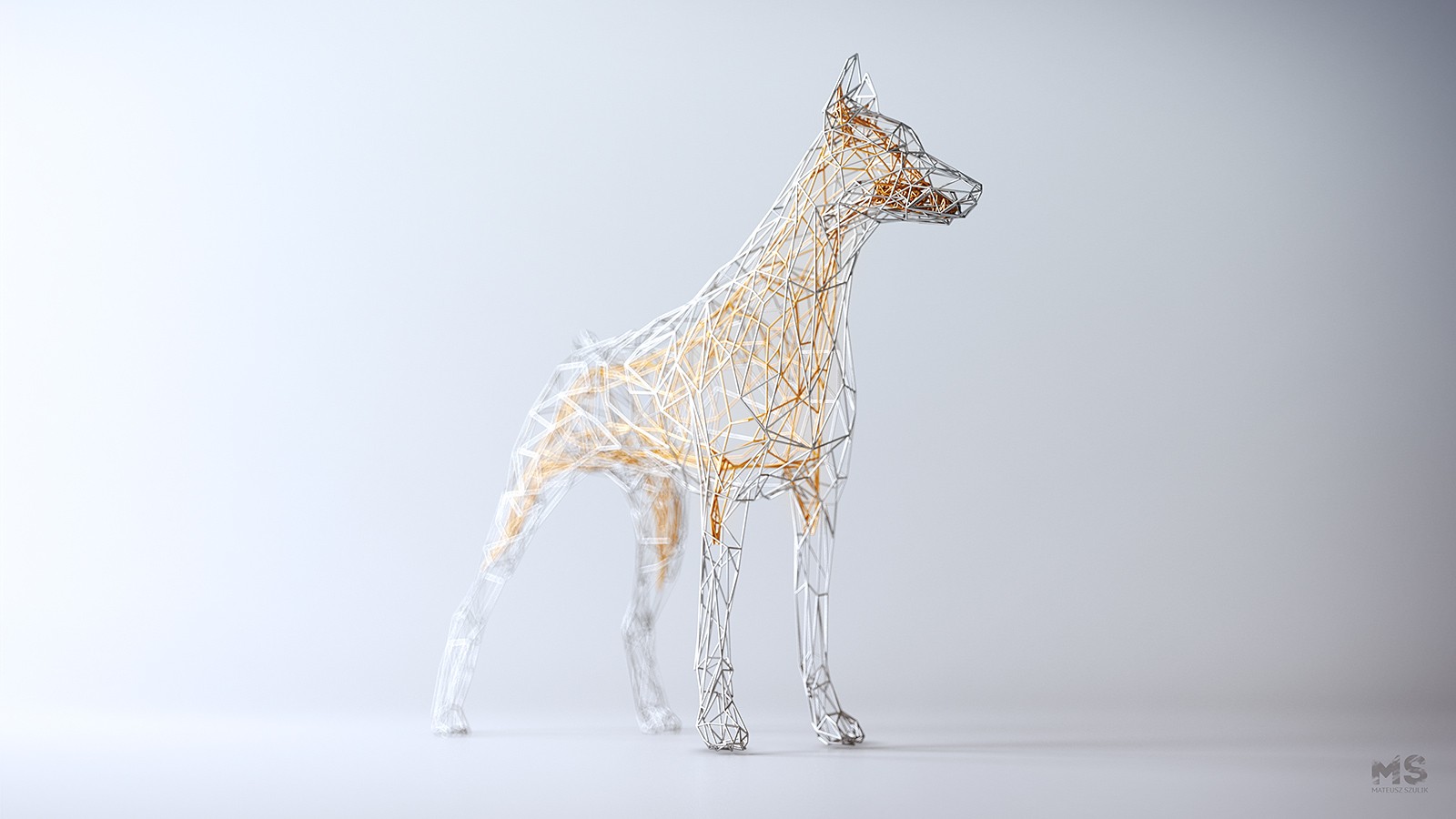 Simple Background Digital Art Animals Dog CGi Artwork Wire Mateusz Szulik White Background 1600x900