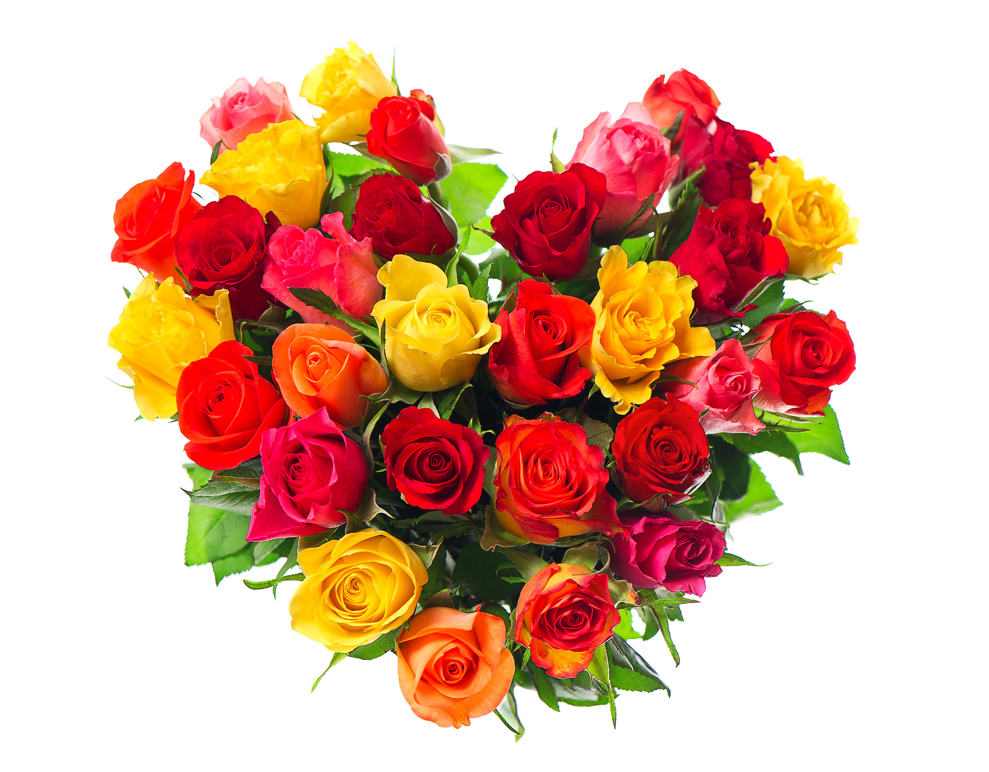 Holiday Valentines Day Heart Rose Colorful Red Rose Yellow Rose Pink Rose 3200x2500