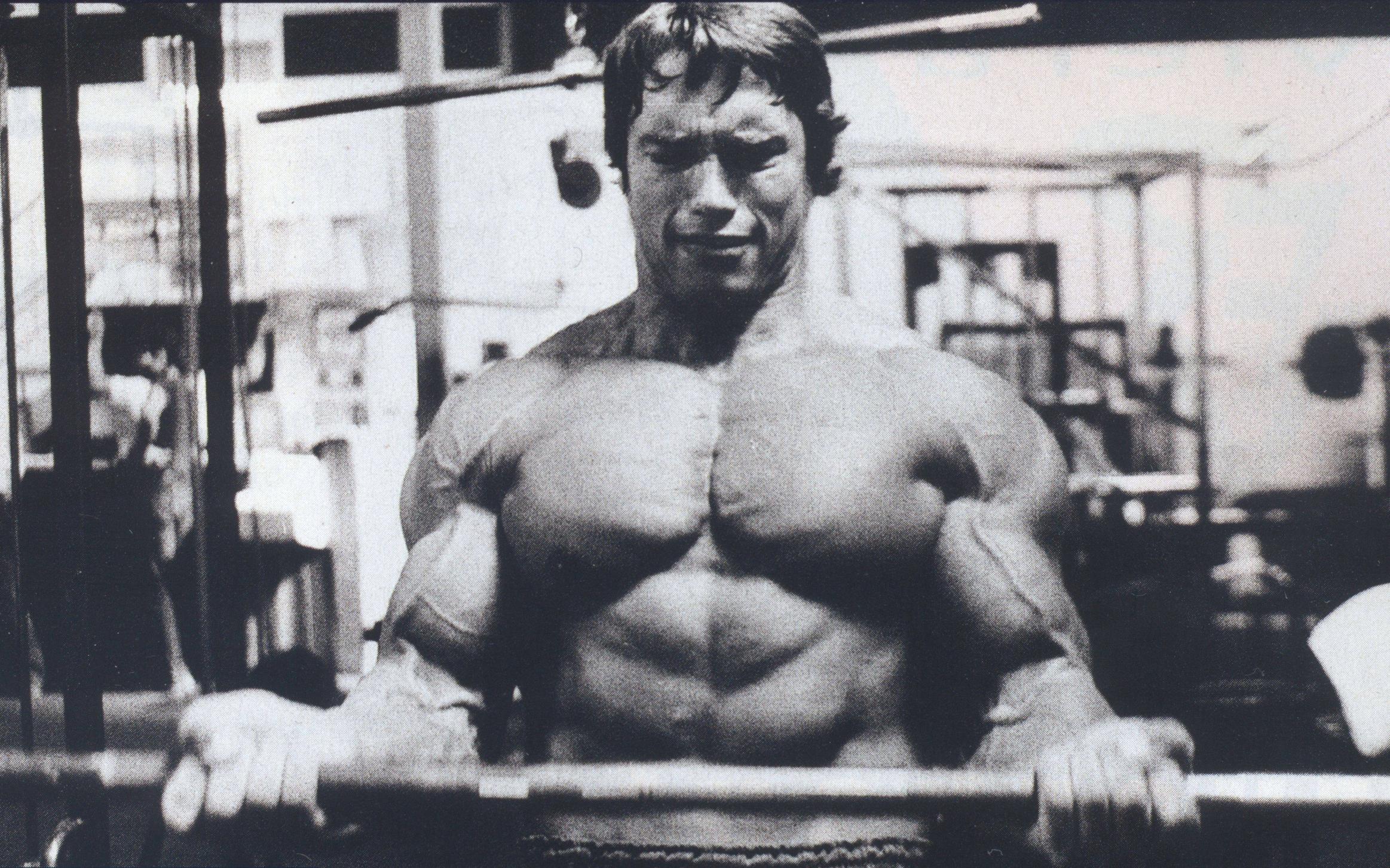 Arnold Schwarzenegger 2326x1454