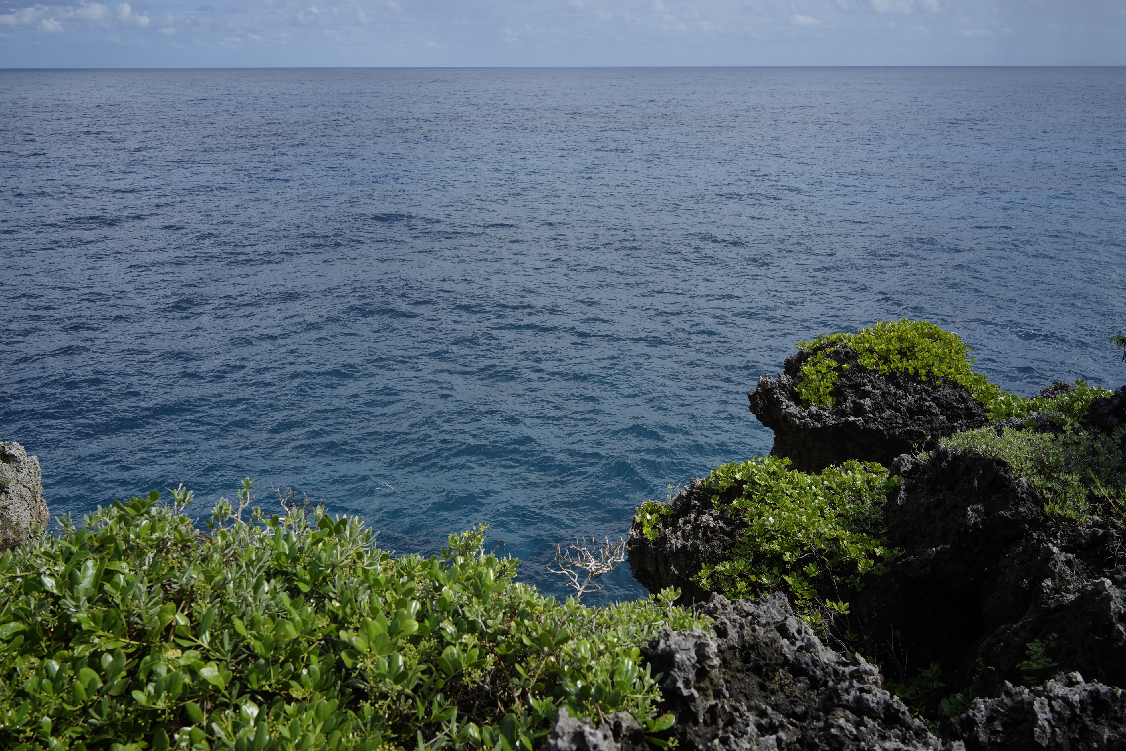 Jamaica Nature Sea 3936x2624