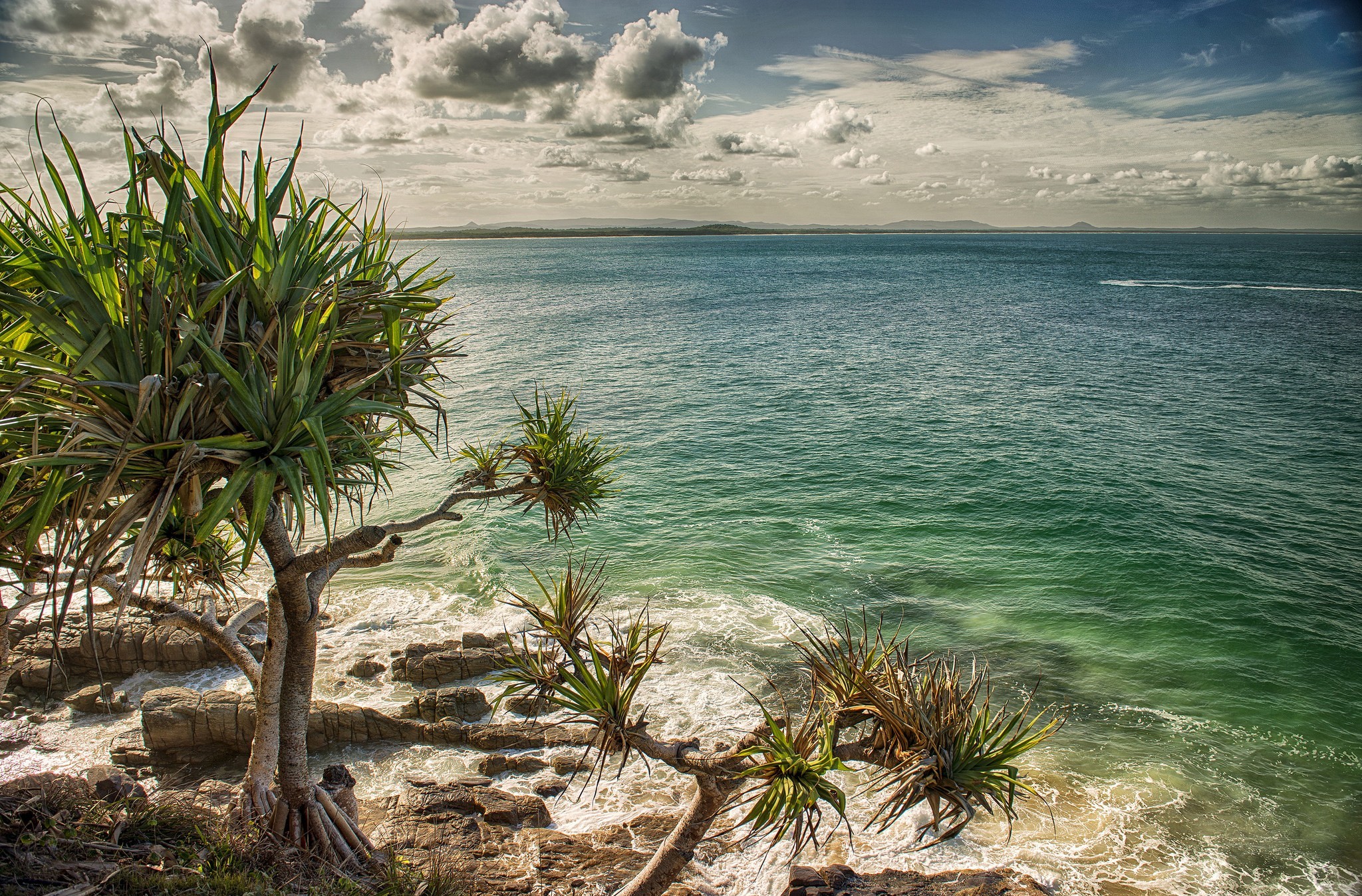 Seashore Sea Tree Cloud Australia Earth Coast Coastline Ocean Palm Tree Beach Turquoise 2048x1347