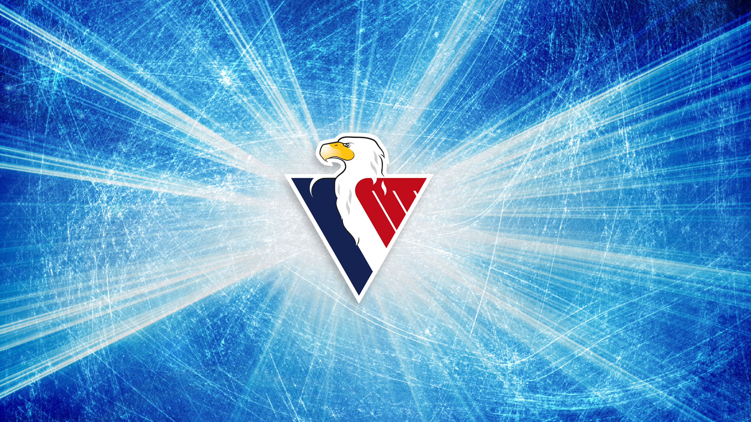 Animals Birds Eagle Digital Art Ice Hockey Logo Ice Triangle 2560x1440