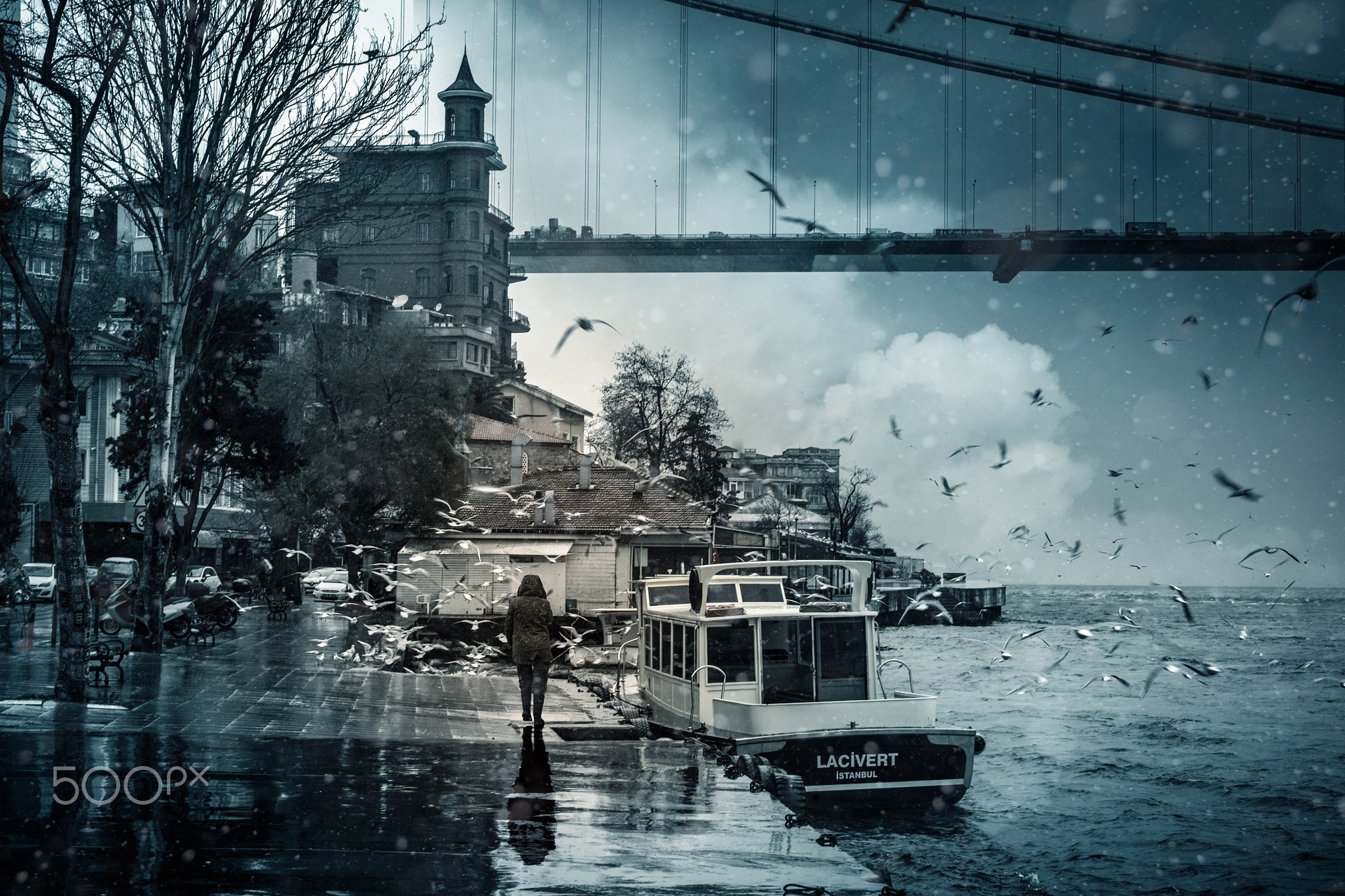 Istanbul Turkey Bosphorus Bridge Sea Birds Seagulls Boat Rain 2048x1365