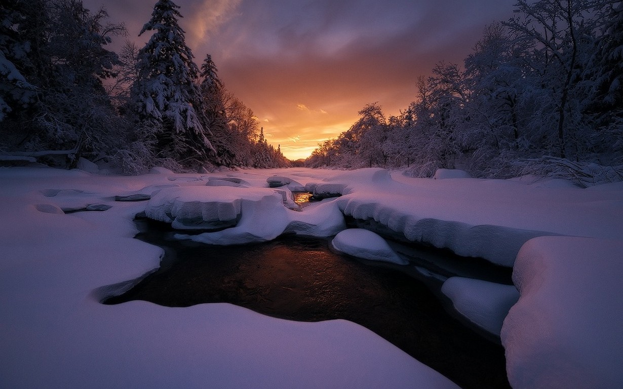Nature Landscape Sunset Cold Winter Forest Sky Maine Frost Clouds Trees Snow 1230x768