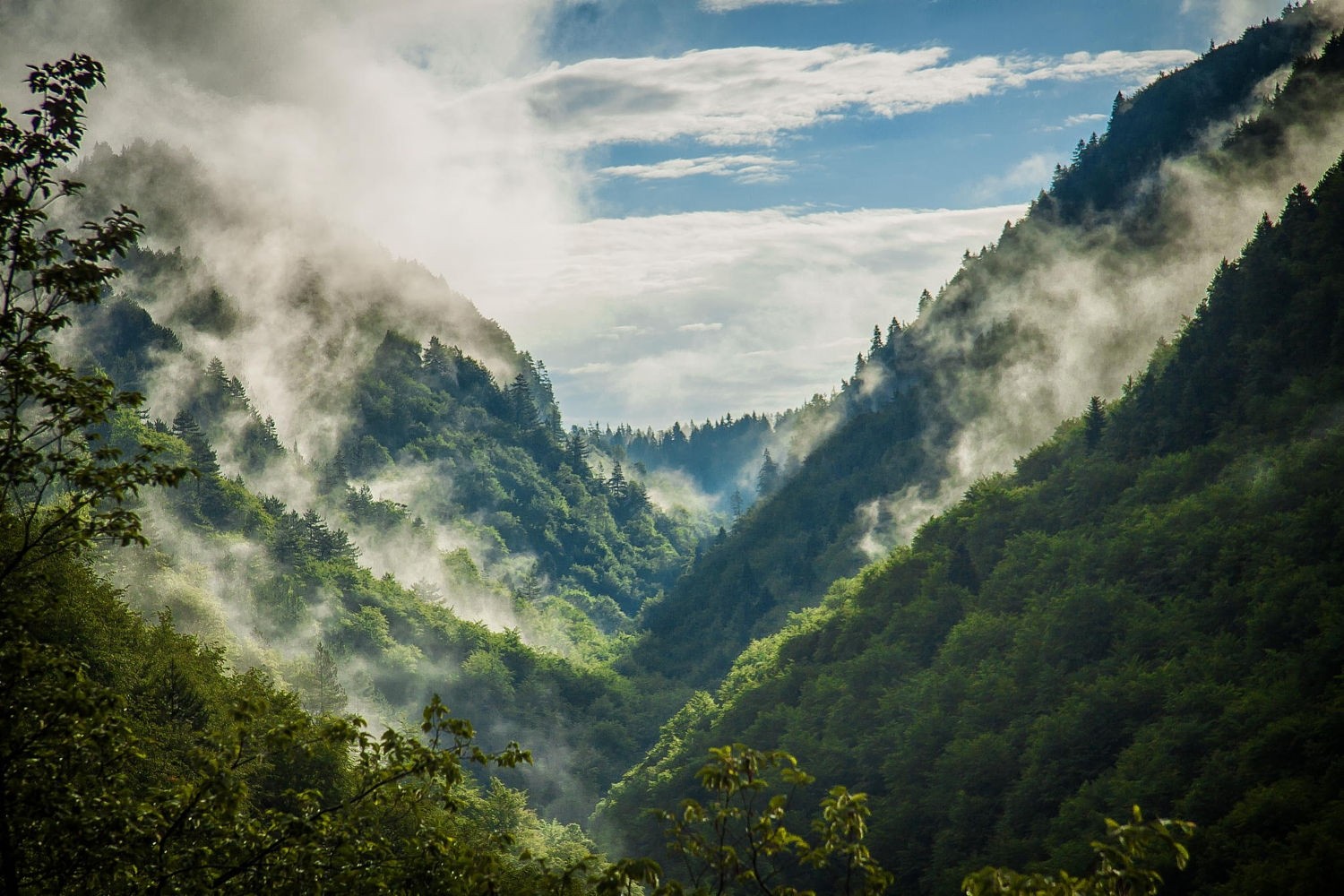 Nature Photography Landscape Mountains Sunlight Forest Mist Spring Bulgaria 1500x1000
