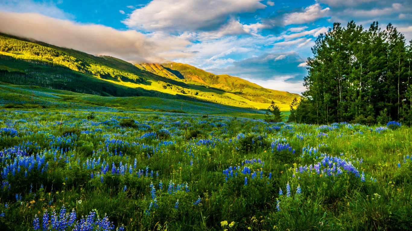 Earth Meadow 1366x768