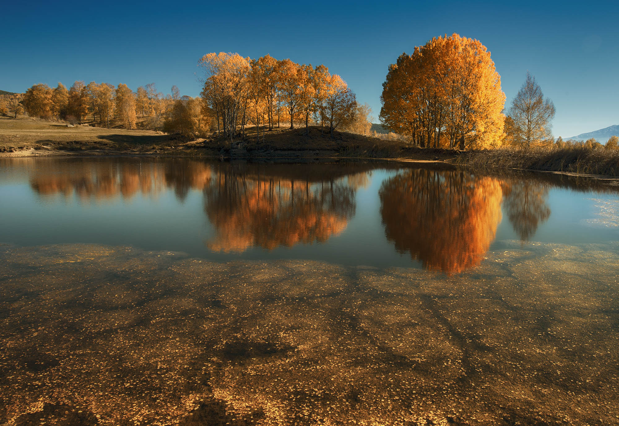 Lake Fall Bulgaria Nature Reflection Tree Landscape 2000x1376