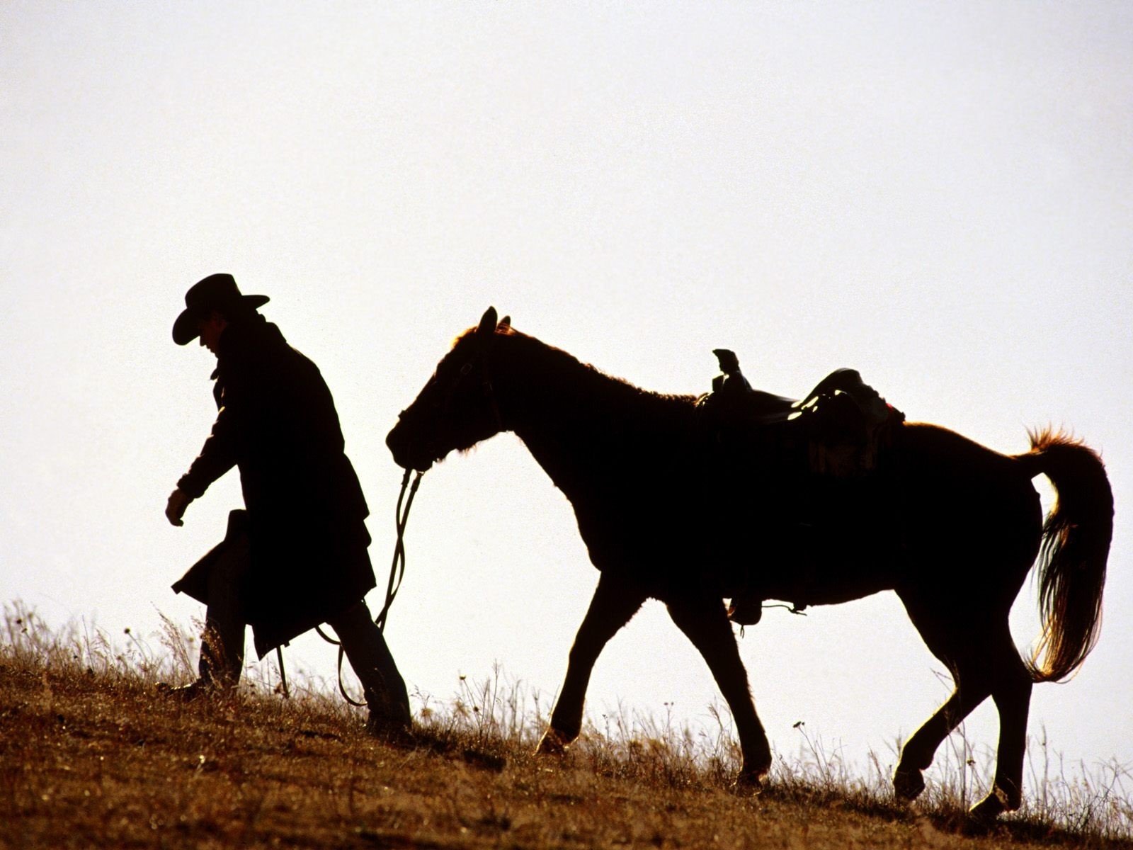 Horse Cowboys Animals 1600x1200
