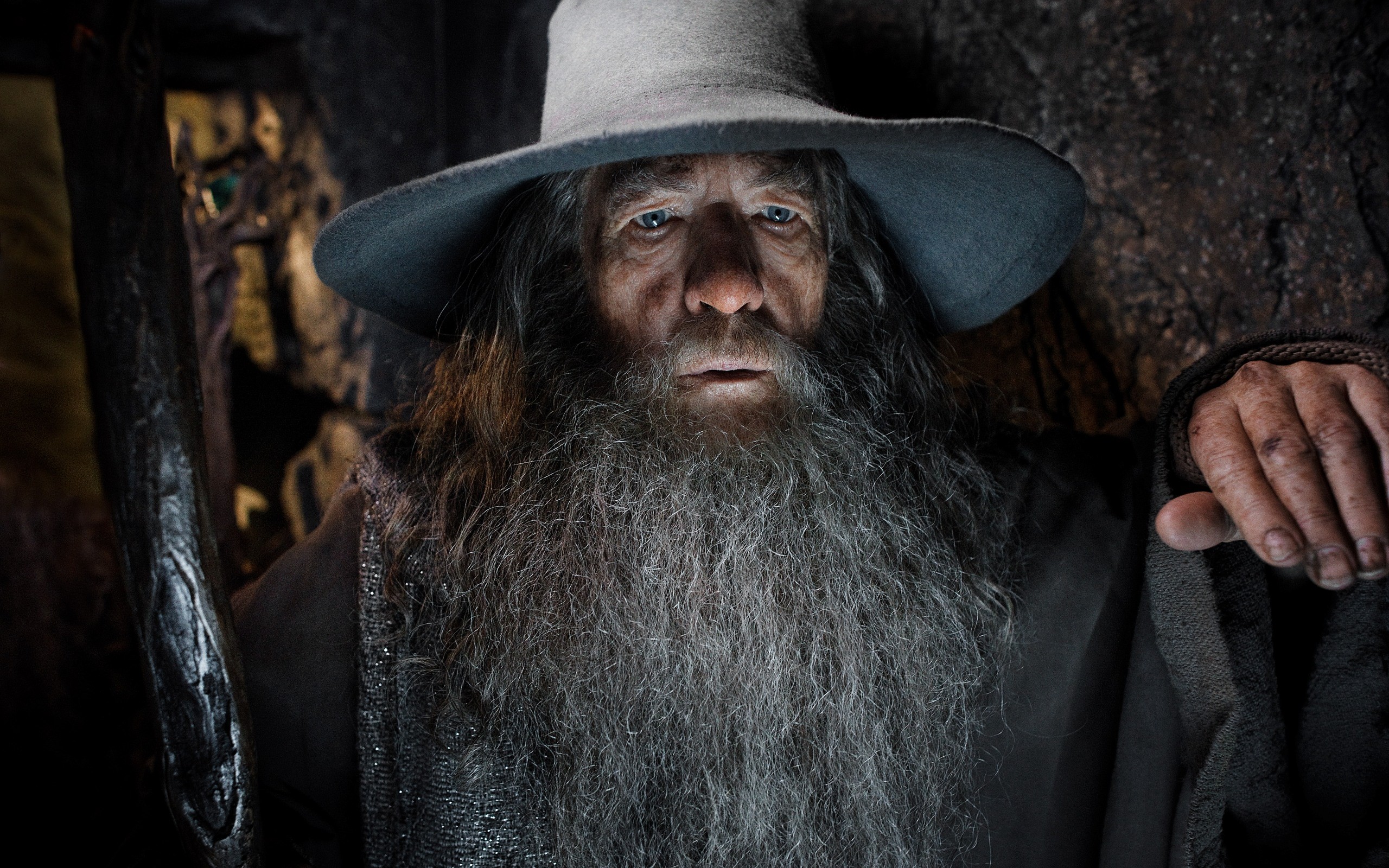 Gandalf The Hobbit The Hobbit The Desolation Of Smaug Ian McKellen Men Actor Wizard 2560x1600