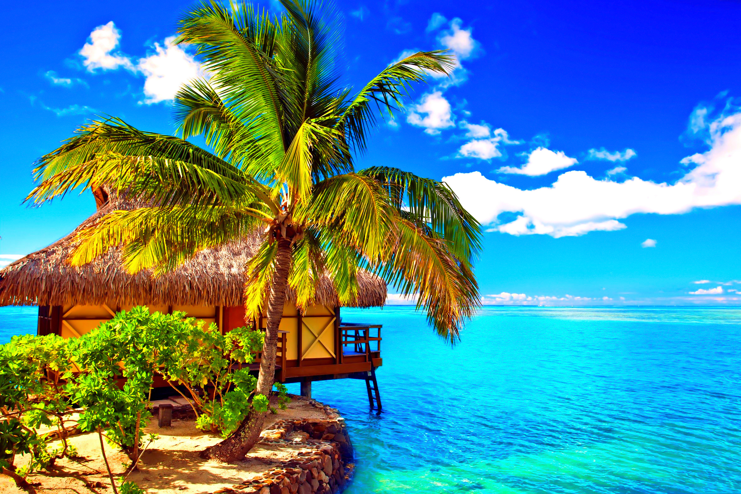 Man Made Beach Ocean Tropics Tropical Bungalow Hut Palm Tree 2356x1571