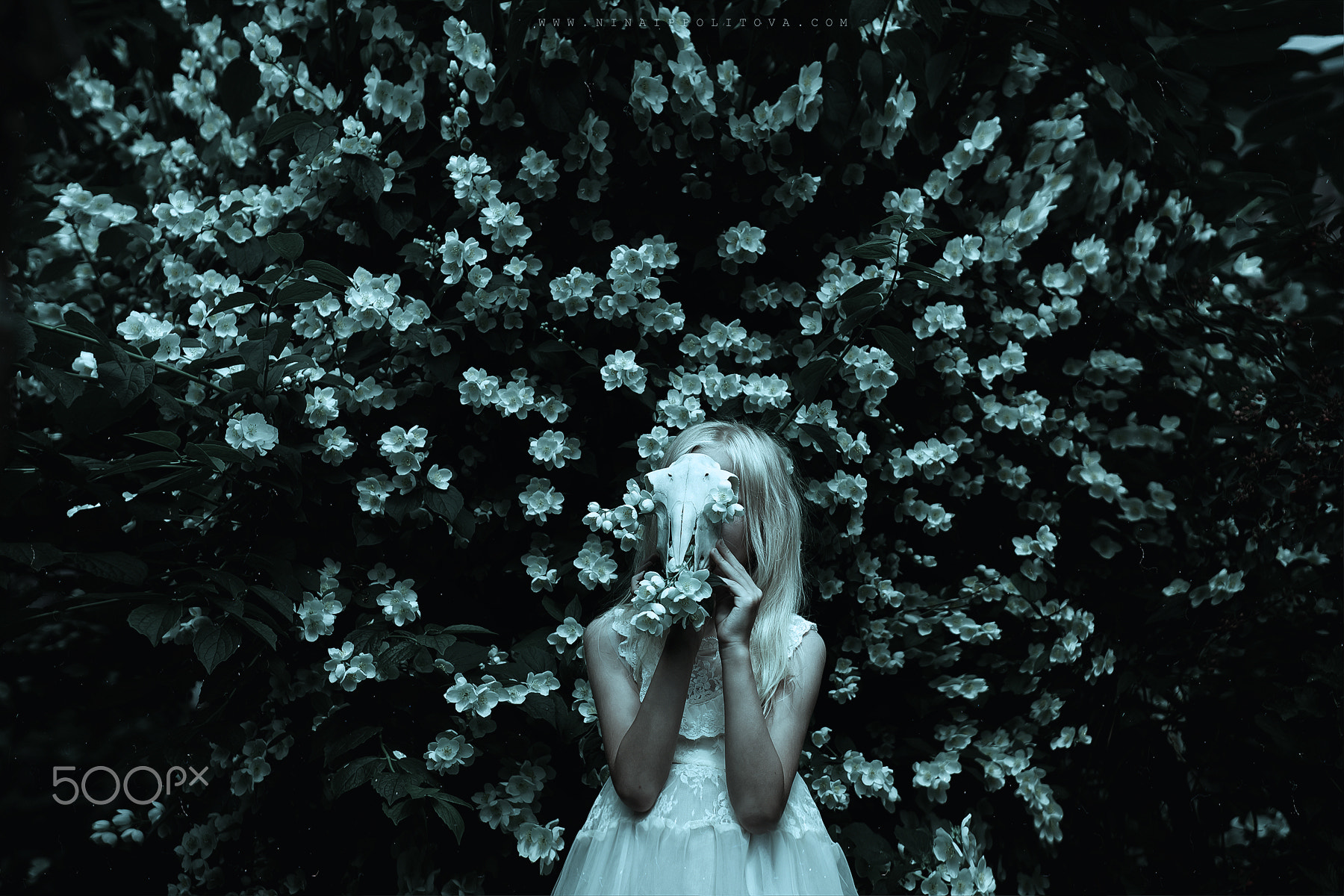 Dark Fantasy 500px Dark Shiro Igarashi Plants Skull White Dress White Hair 1800x1200