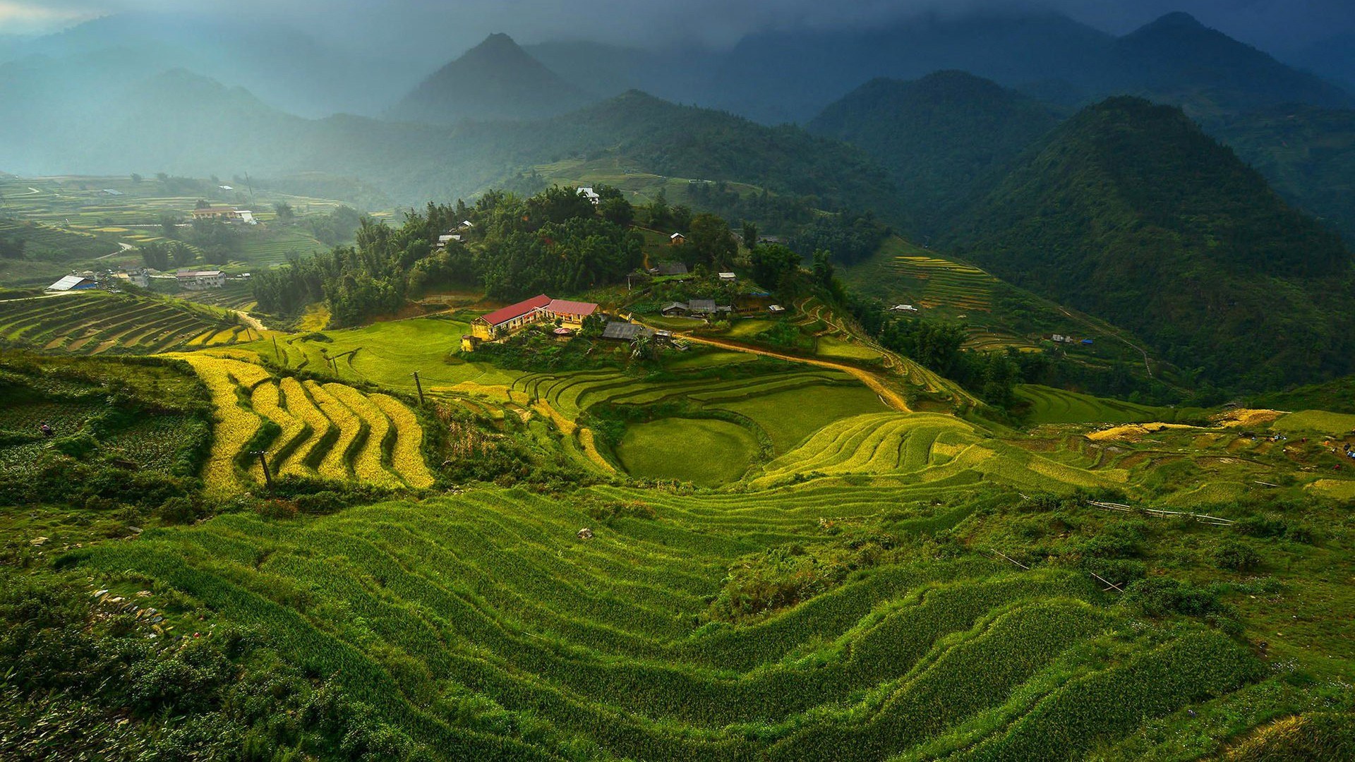 Rice Terrace Vietnam 1920x1080