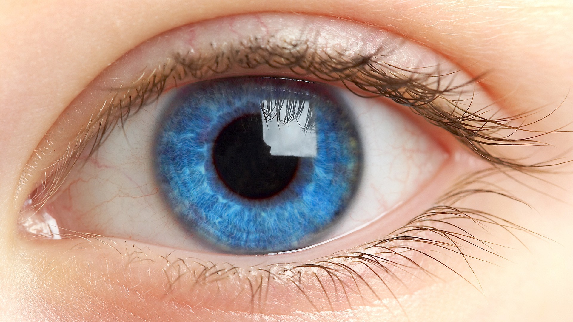 Eyes Blue Eyes Retina Eyelashes Macro 1920x1080