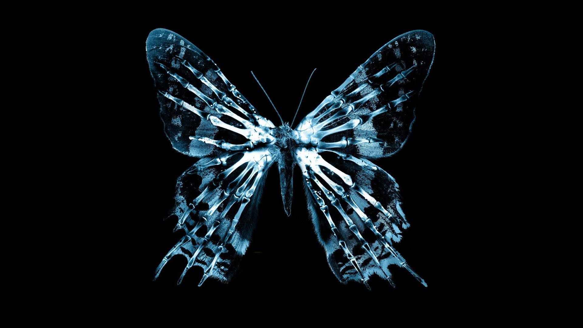 Fringe TV Series Butterflies Black Black Background Cyan Simple Butterfly Bones 1920x1080